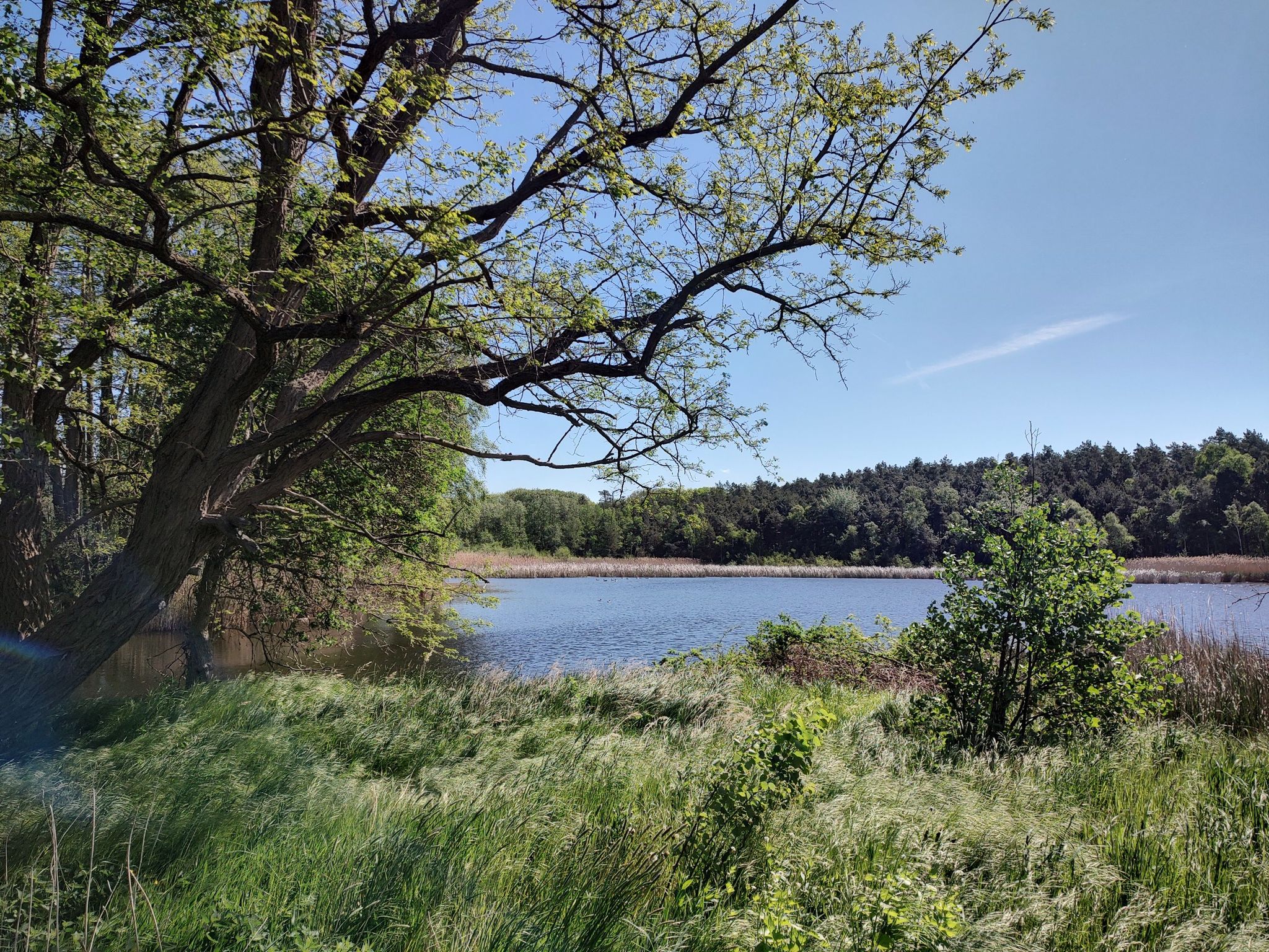Sächsische Seenplatte