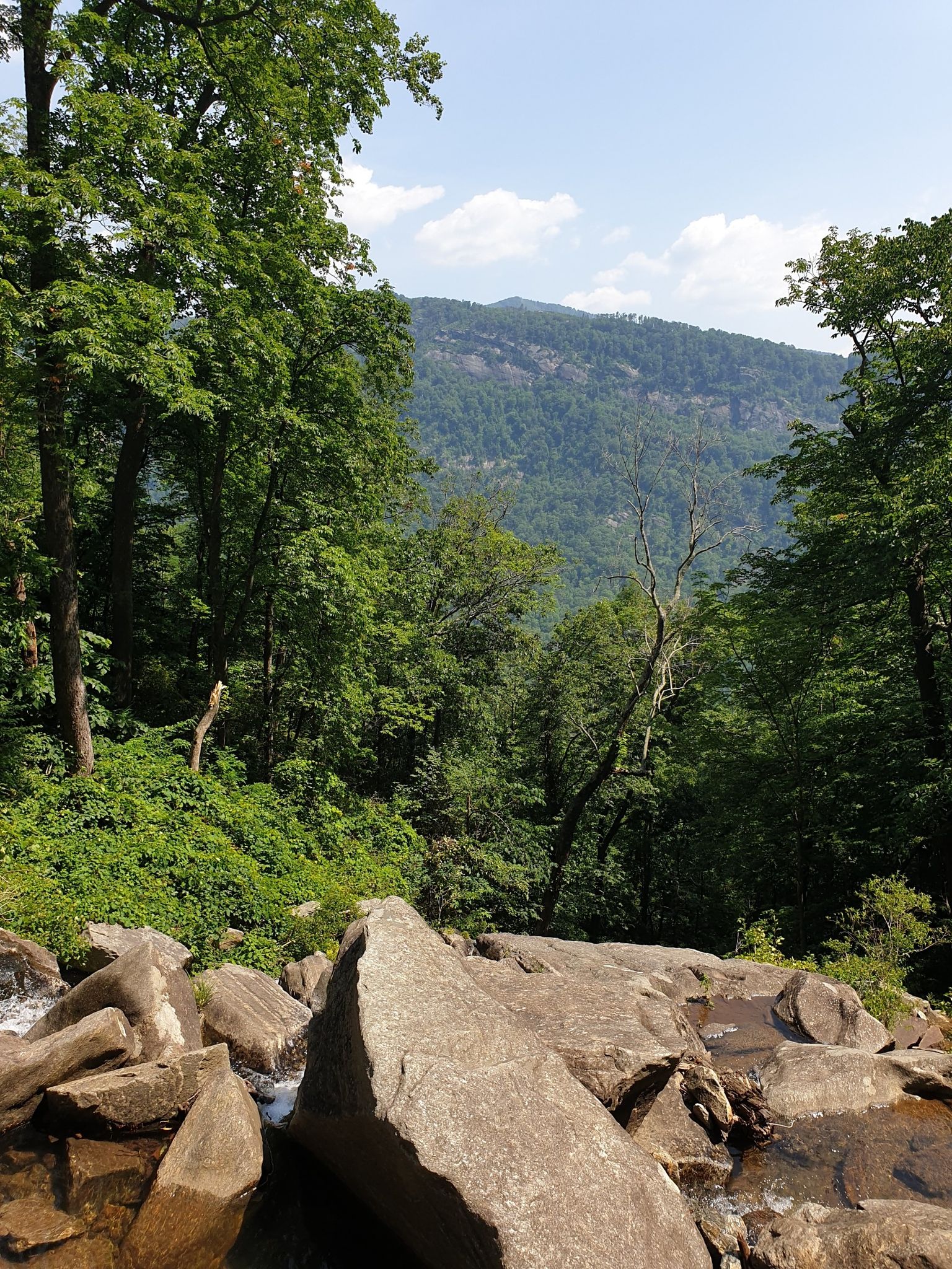 Large boulders in a stream, with dense green forest and distant mountains. Bright daylight. - Hickory Nut Falls Trail