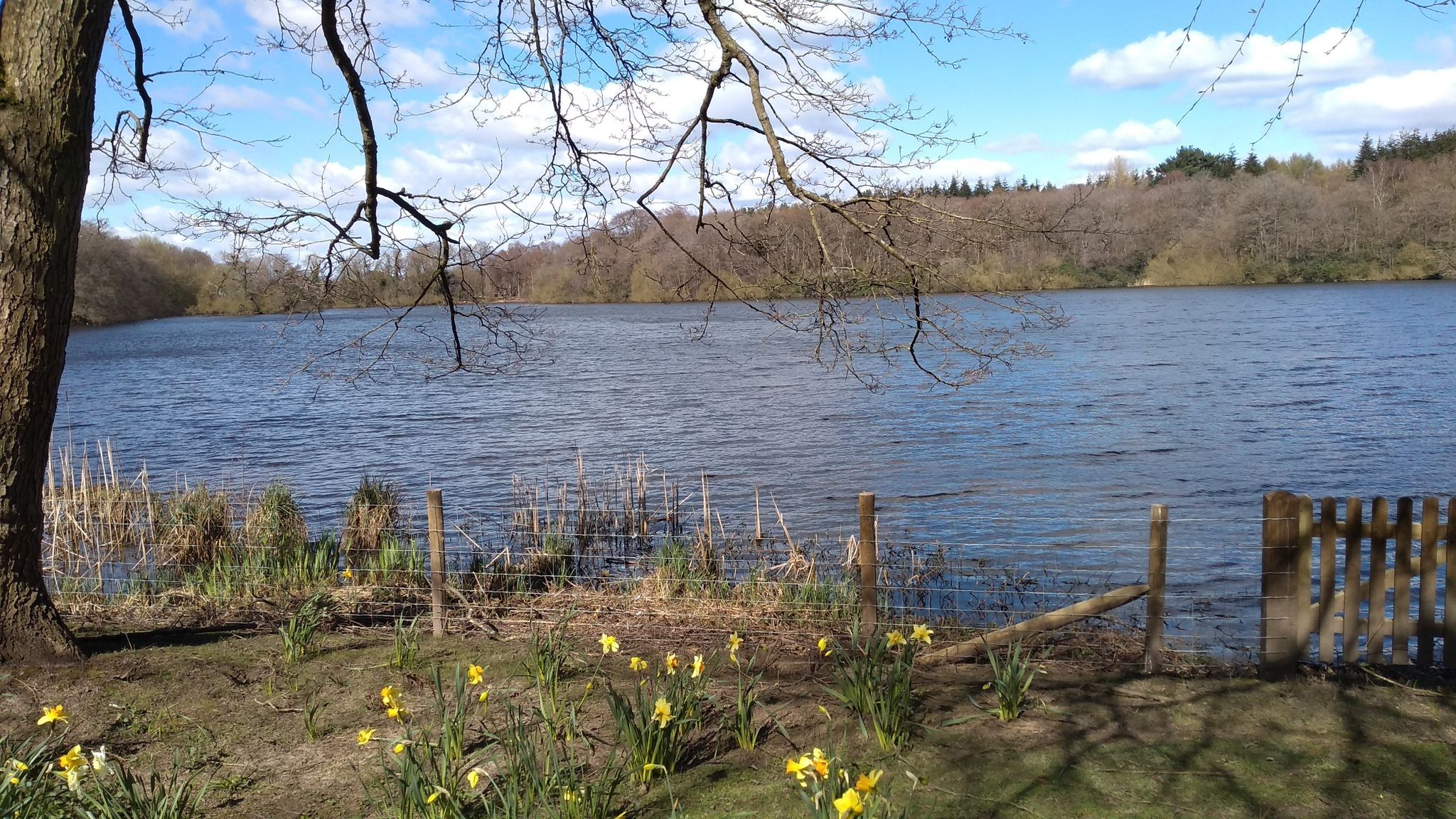 Alderley Park