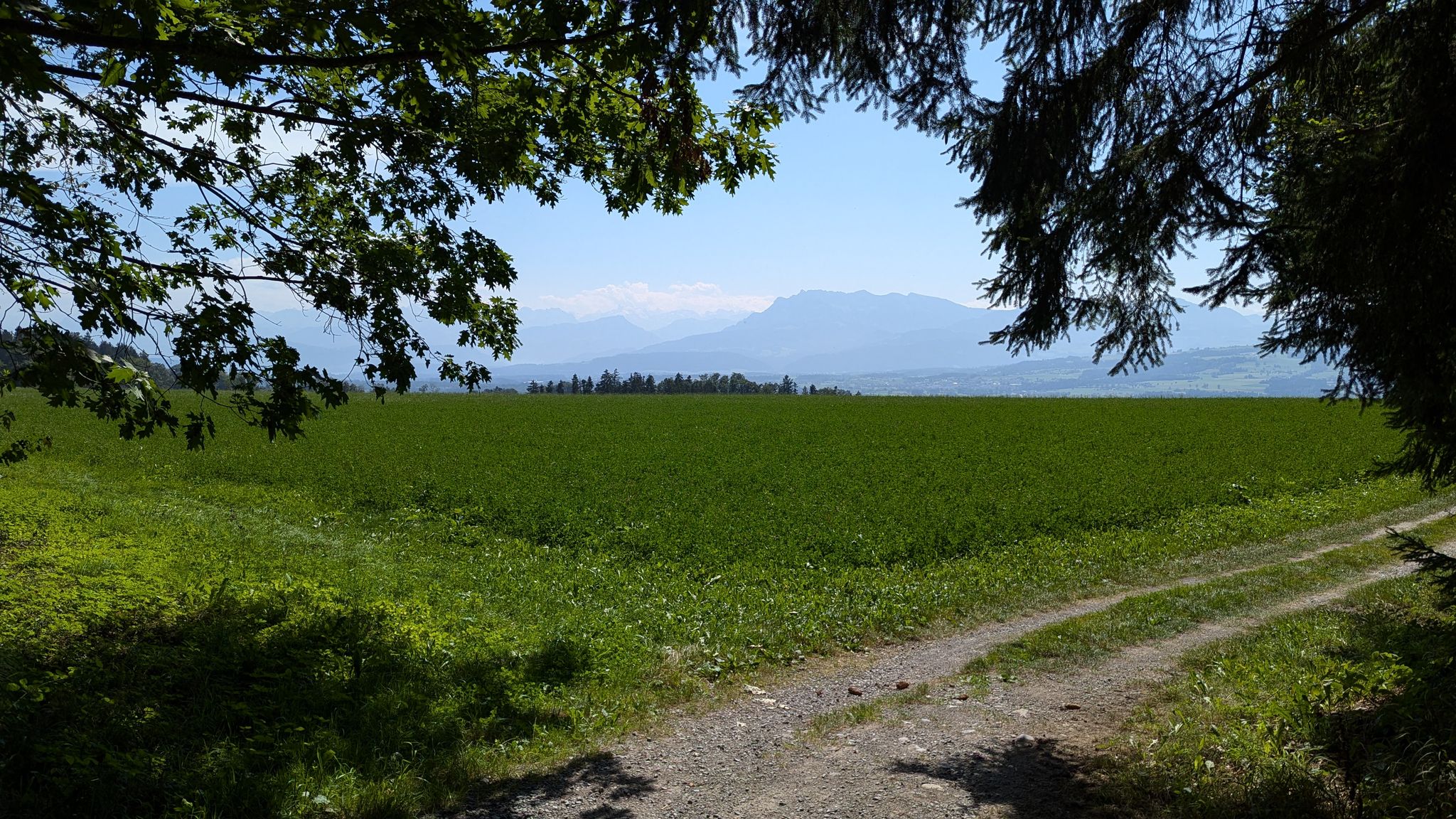 Rigiblick