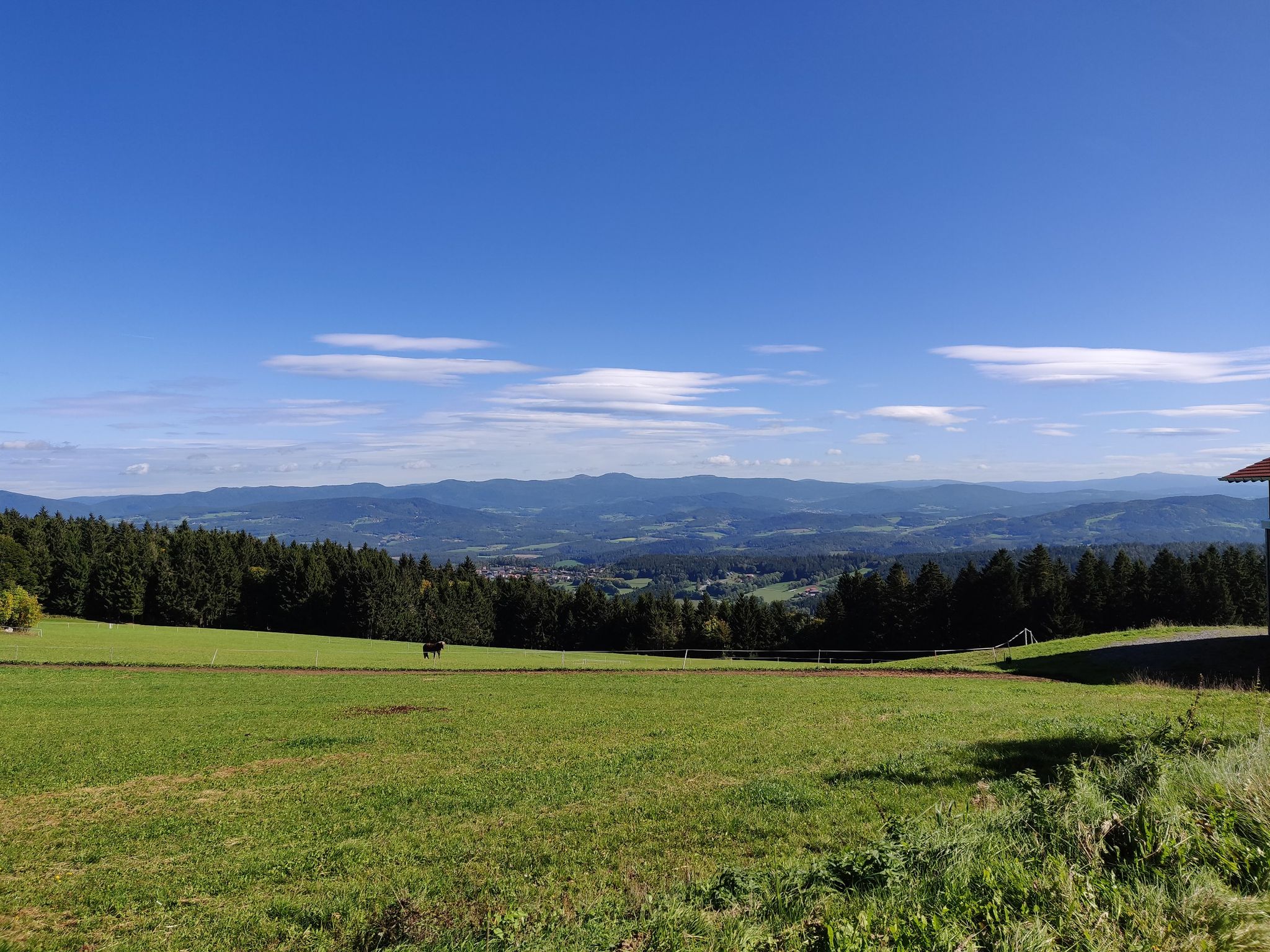 Arberblick von hinterwies