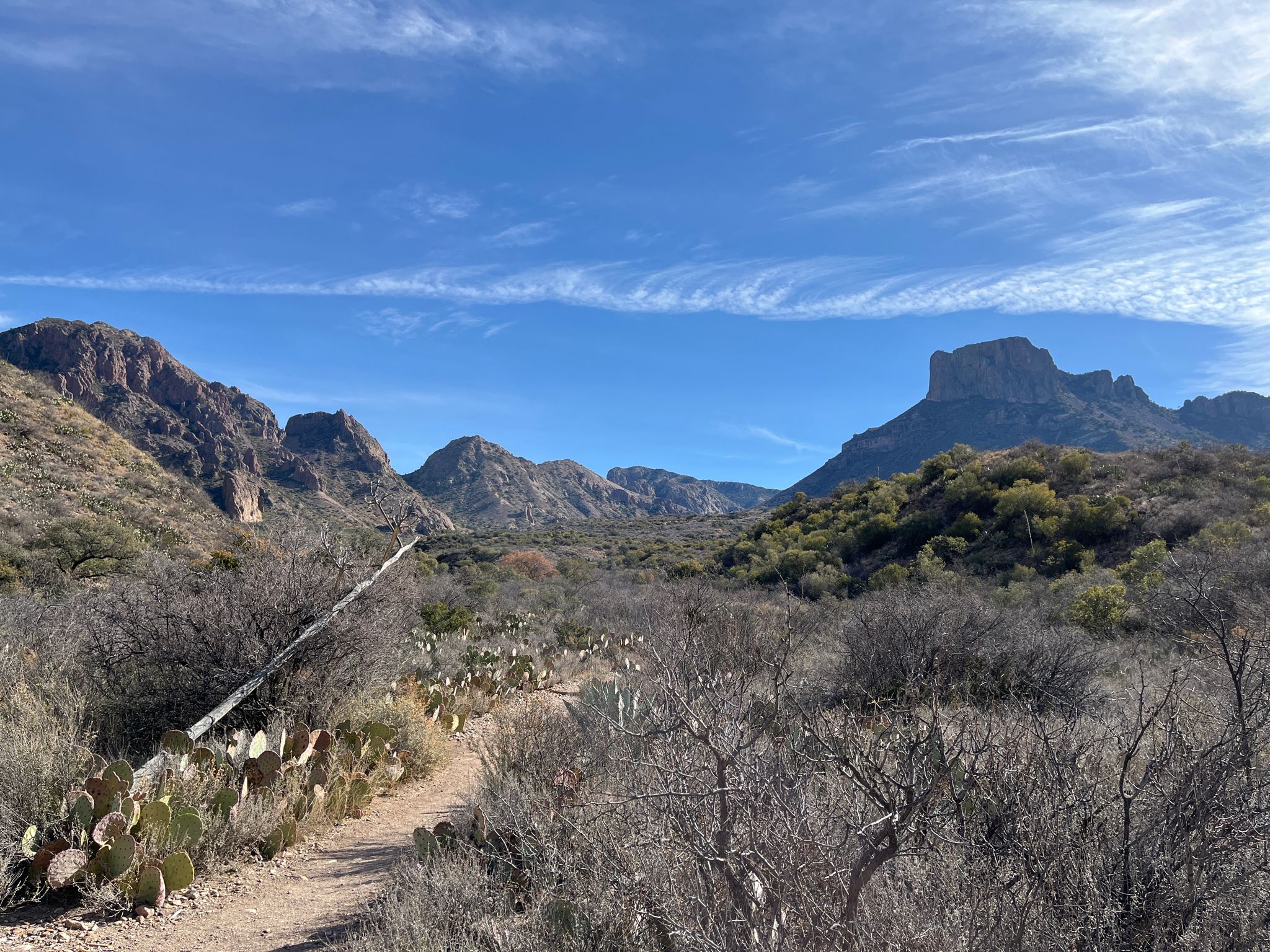 Desert trail winding through scrub brush towards distant mountains under blue sky. - Window Trail
