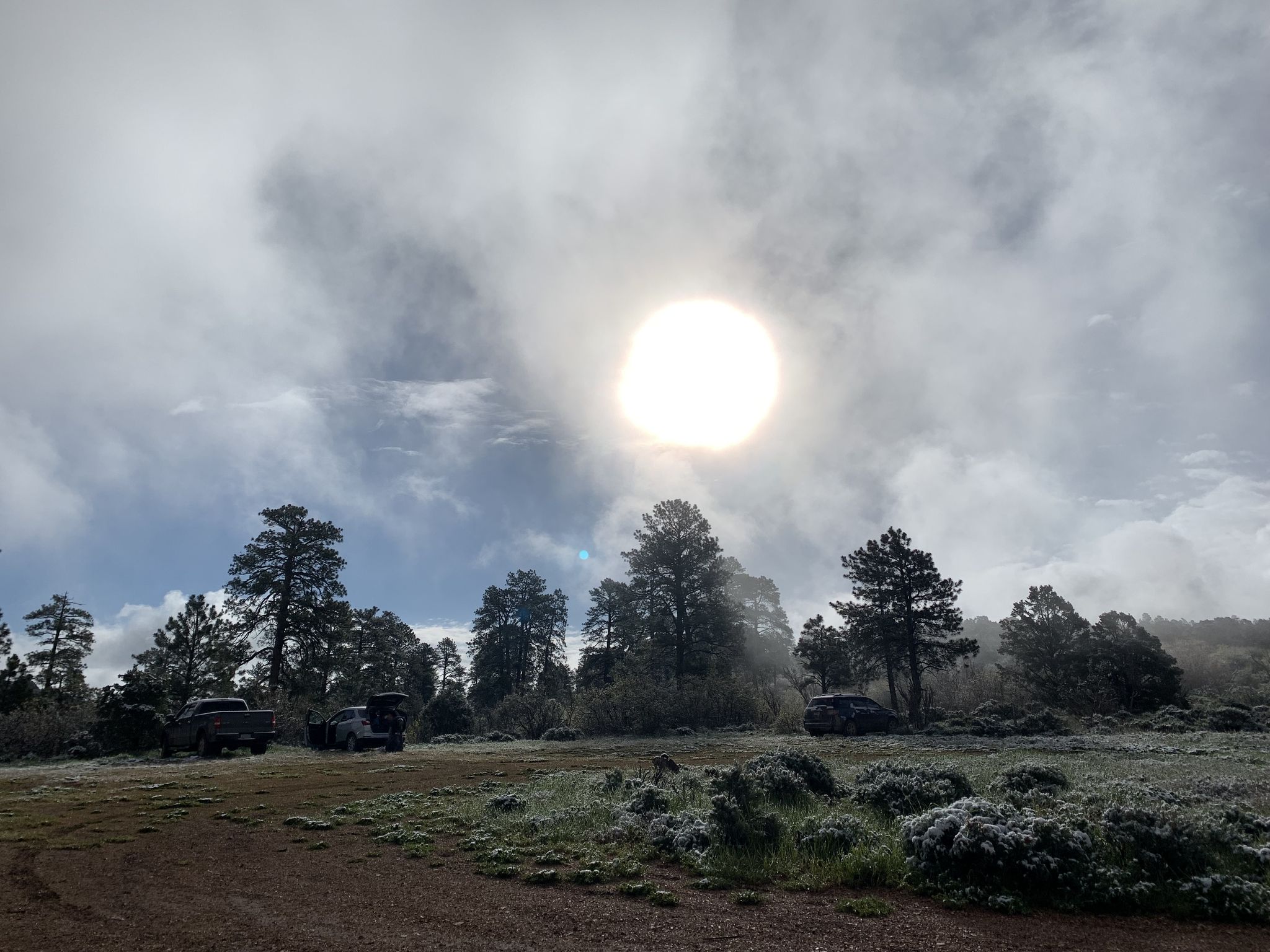 Bright sun shines through clouds over a frosty forest with parked vehicles. - Bill Hall Trail