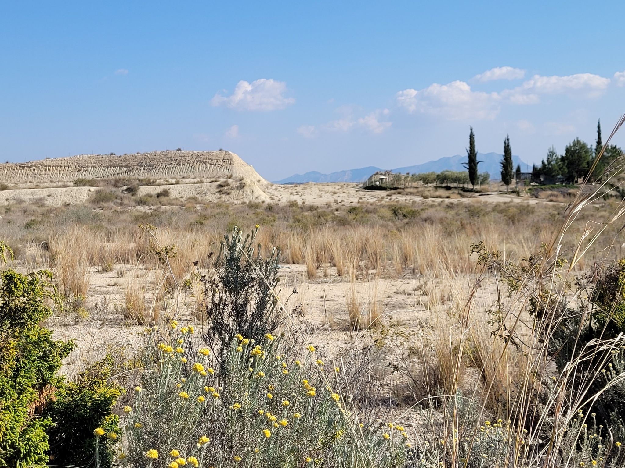 Bodenerosion in der Sierra