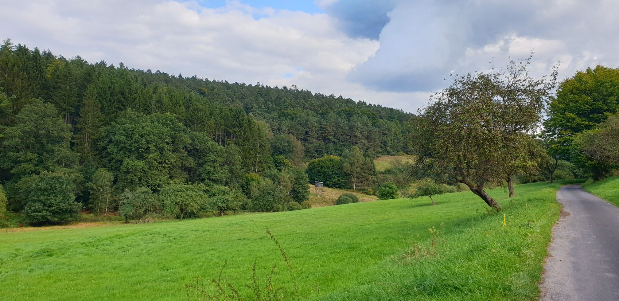 Am Kurzen Lohrbach