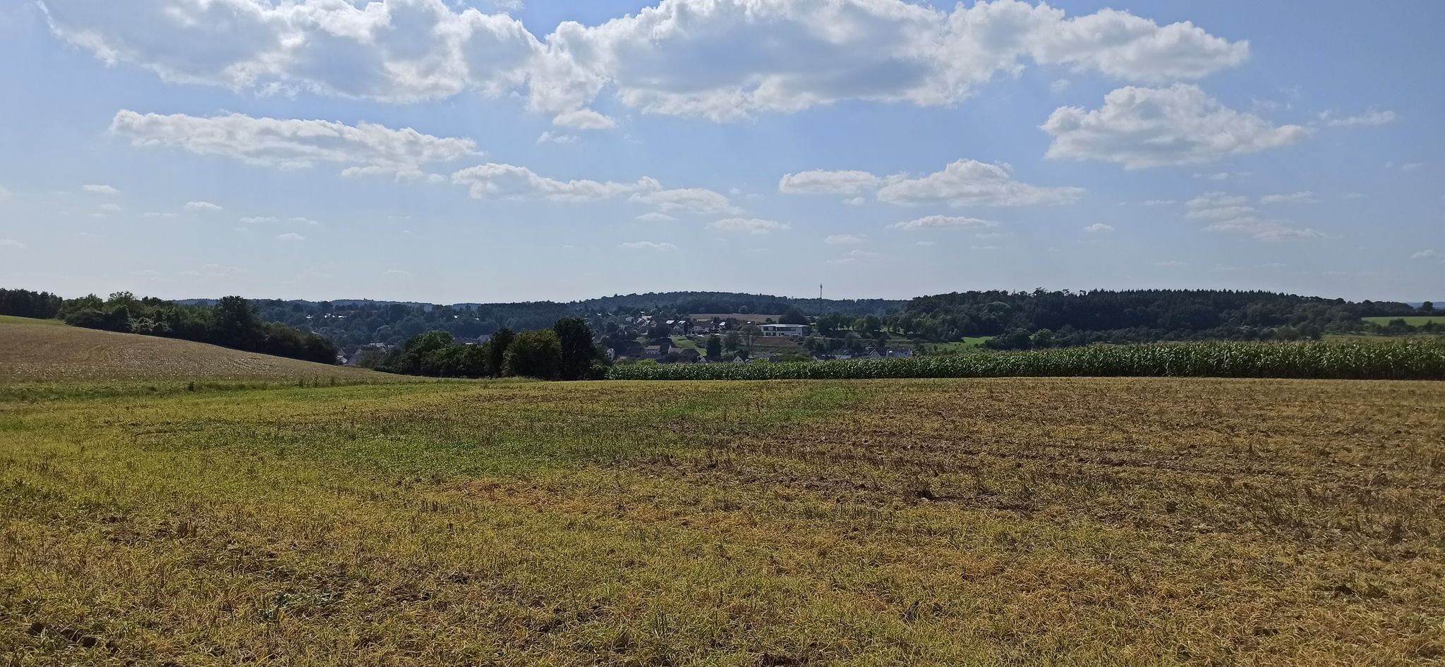 Schlierstadt - Grüße an Waldgeist gehen raus🍻