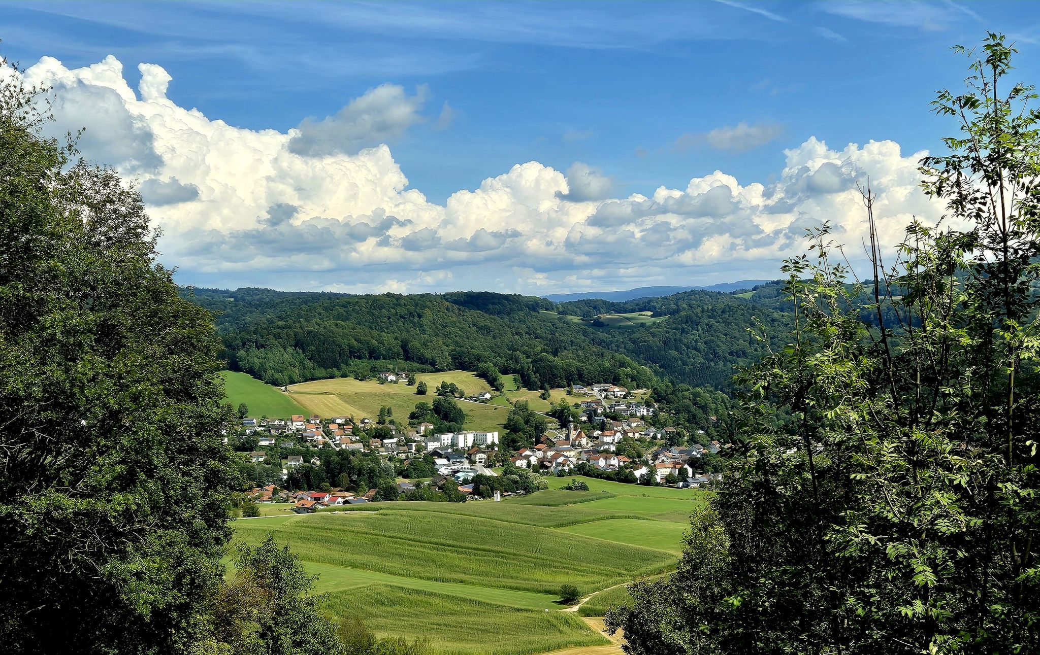 Blick hinunter nach Ringelai