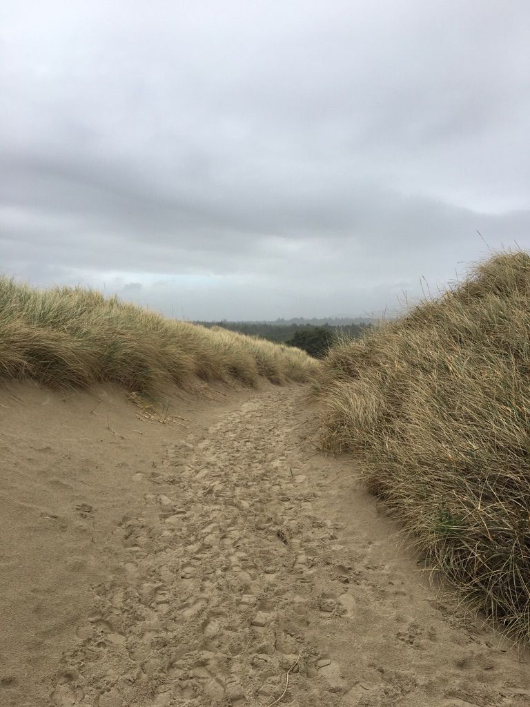 Sandy path winding between tall grassy dunes under an overcast sky. - Nehalem Beach loop run