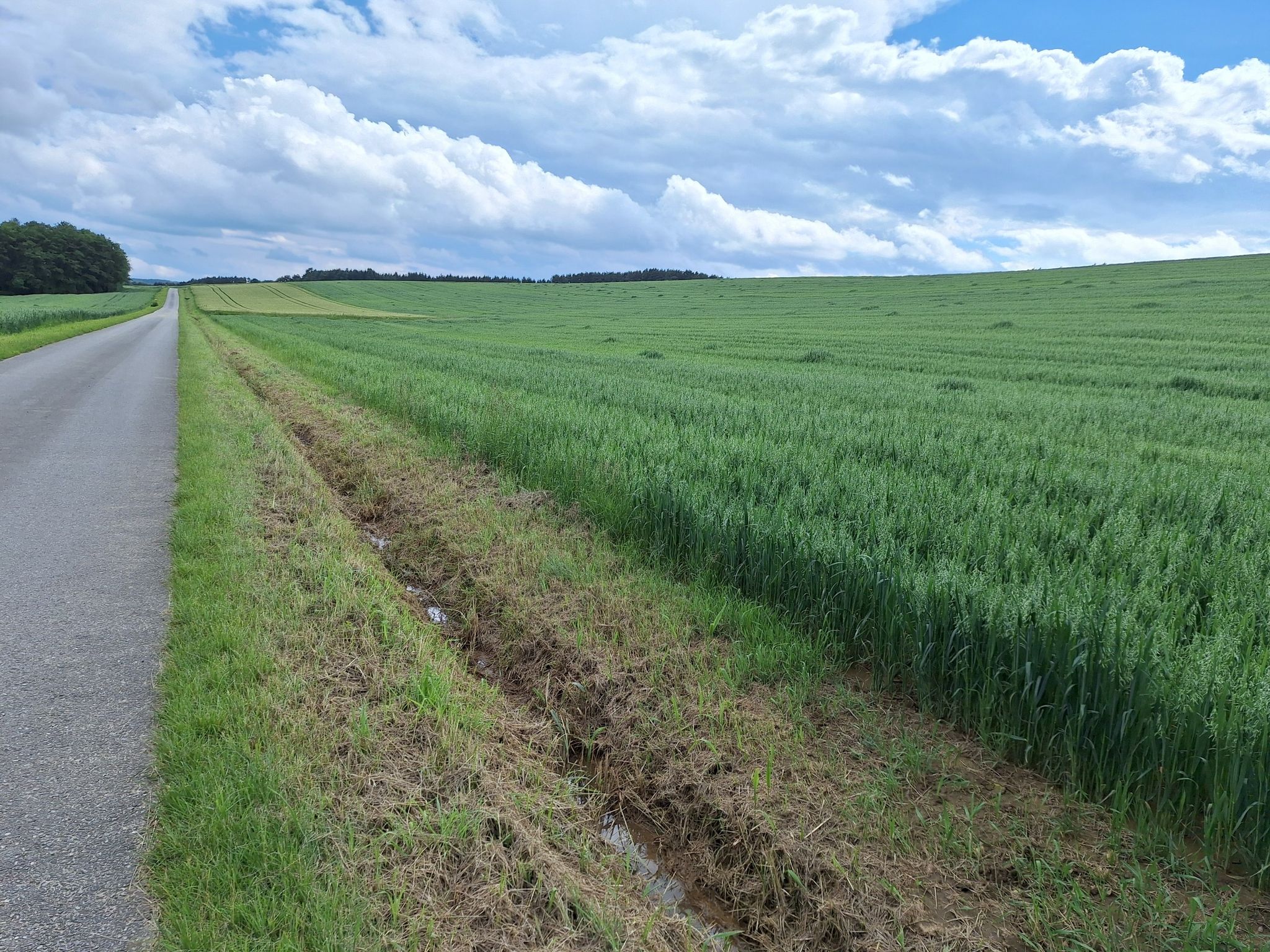 Getreidefelder soweit das Auge reicht