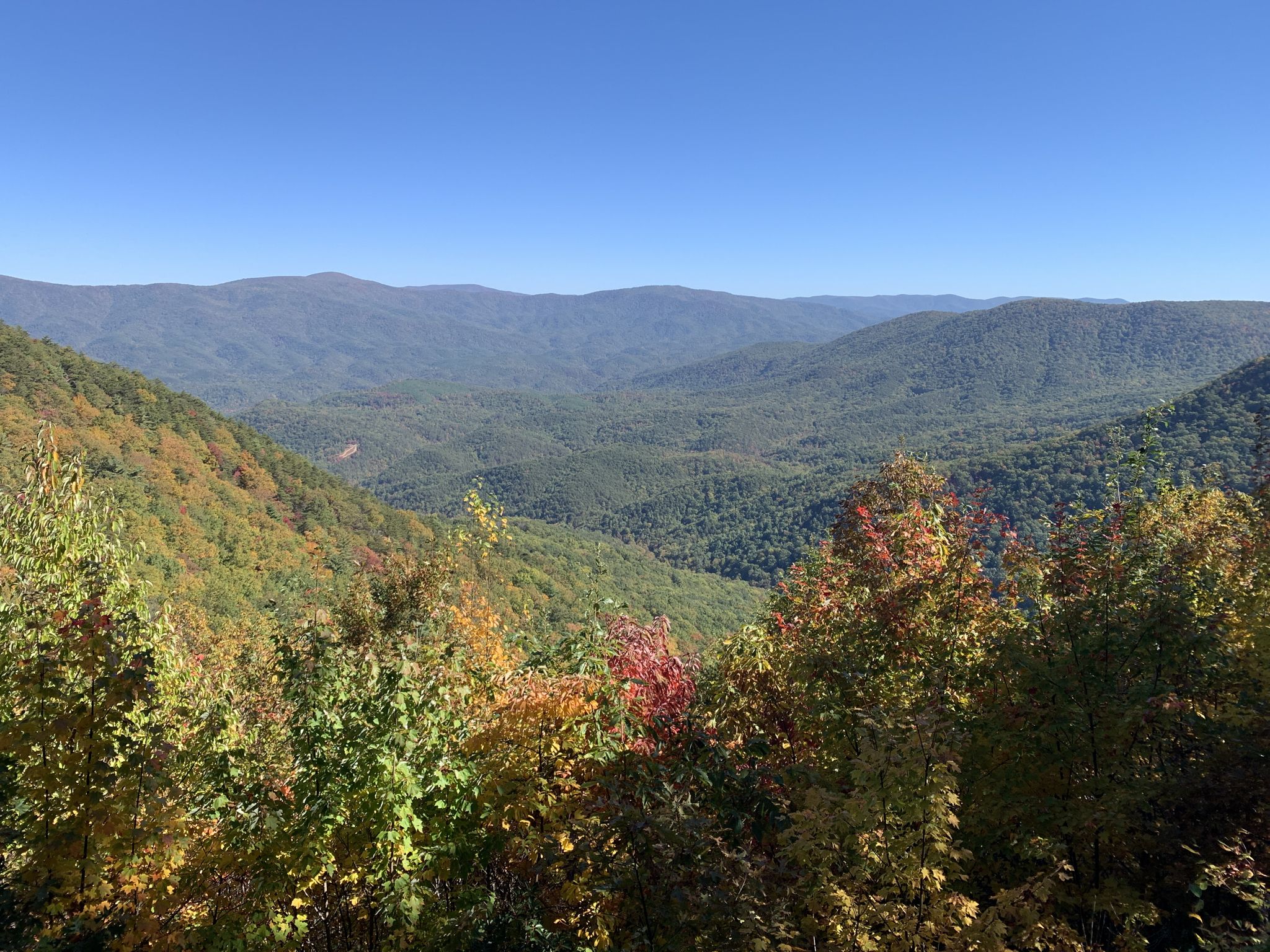 Vast green mountain range with colorful autumn trees under a clear blue sky. - Cool Springs Overlook – Fort Mountain West Overlook loop from Fort Mountain State Park