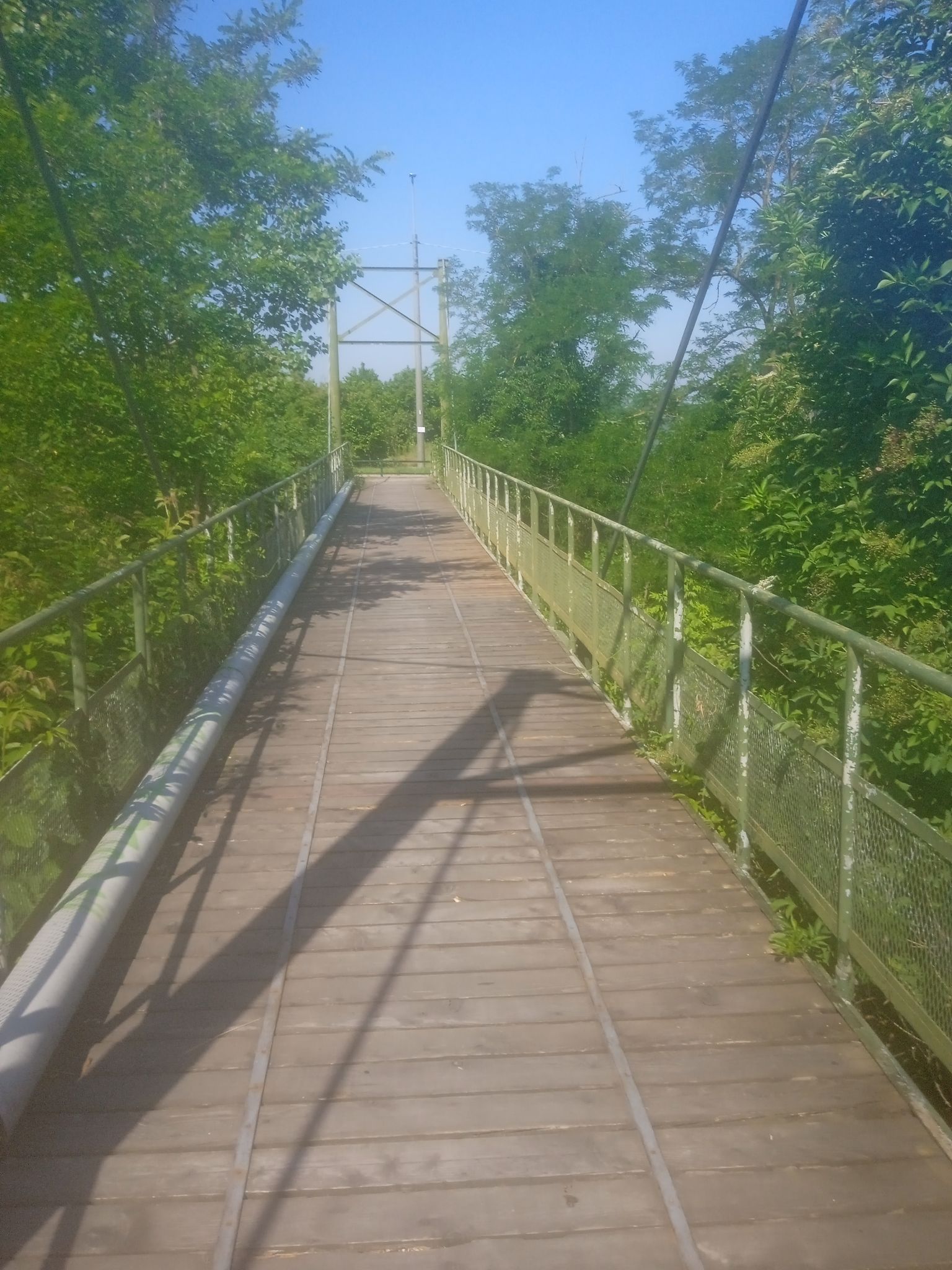 ponte 