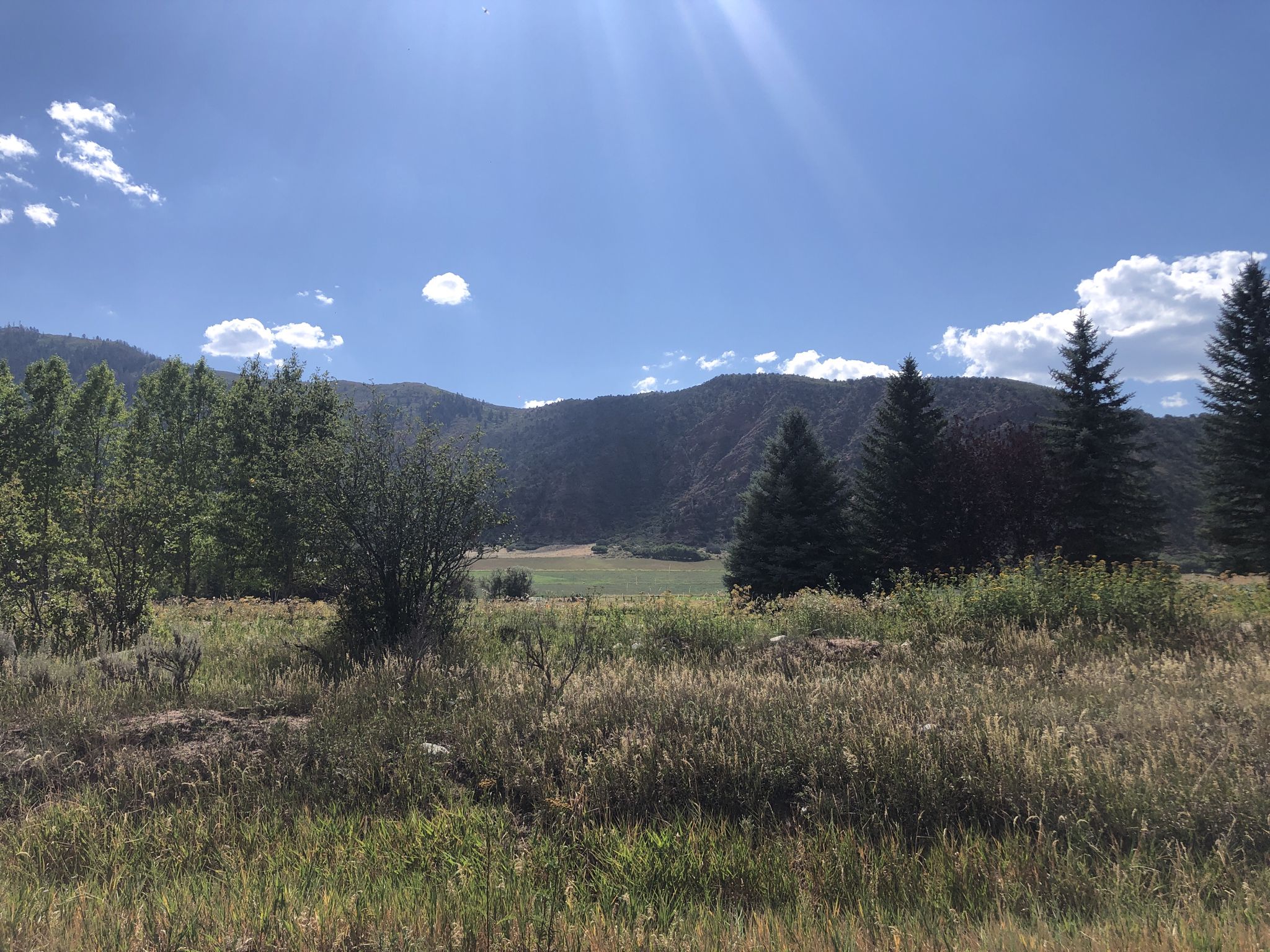 Sunny mountain valley with green fields, evergreen trees, and bright sky. - Rio Grande Trail: Mulford to Basalt