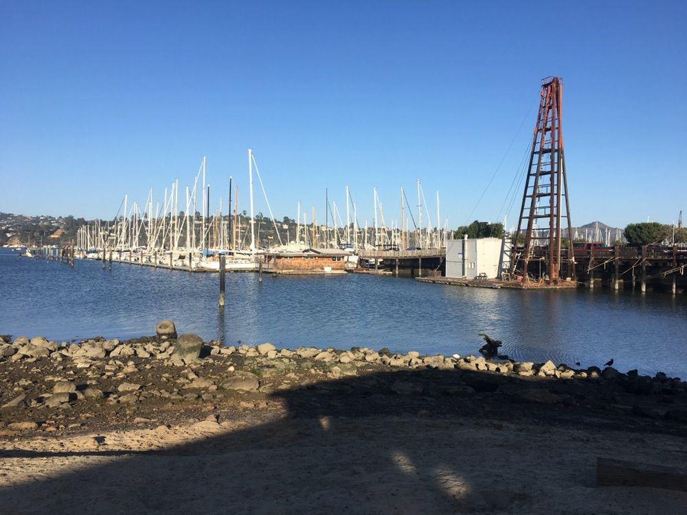 A marina with many sailboats, a large industrial crane, and a rocky shore. - Sausalito Yacht Harbor – Downtown Sausalito loop from Sausalito