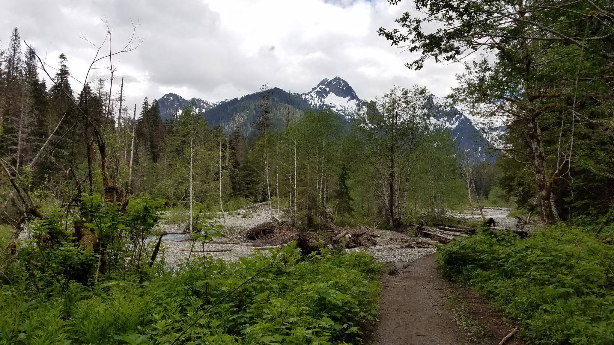 A dirt path leads to a forested valley with a snow-capped mountain under cloudy skies. - Weden Creek (Gothic Basin) Trail