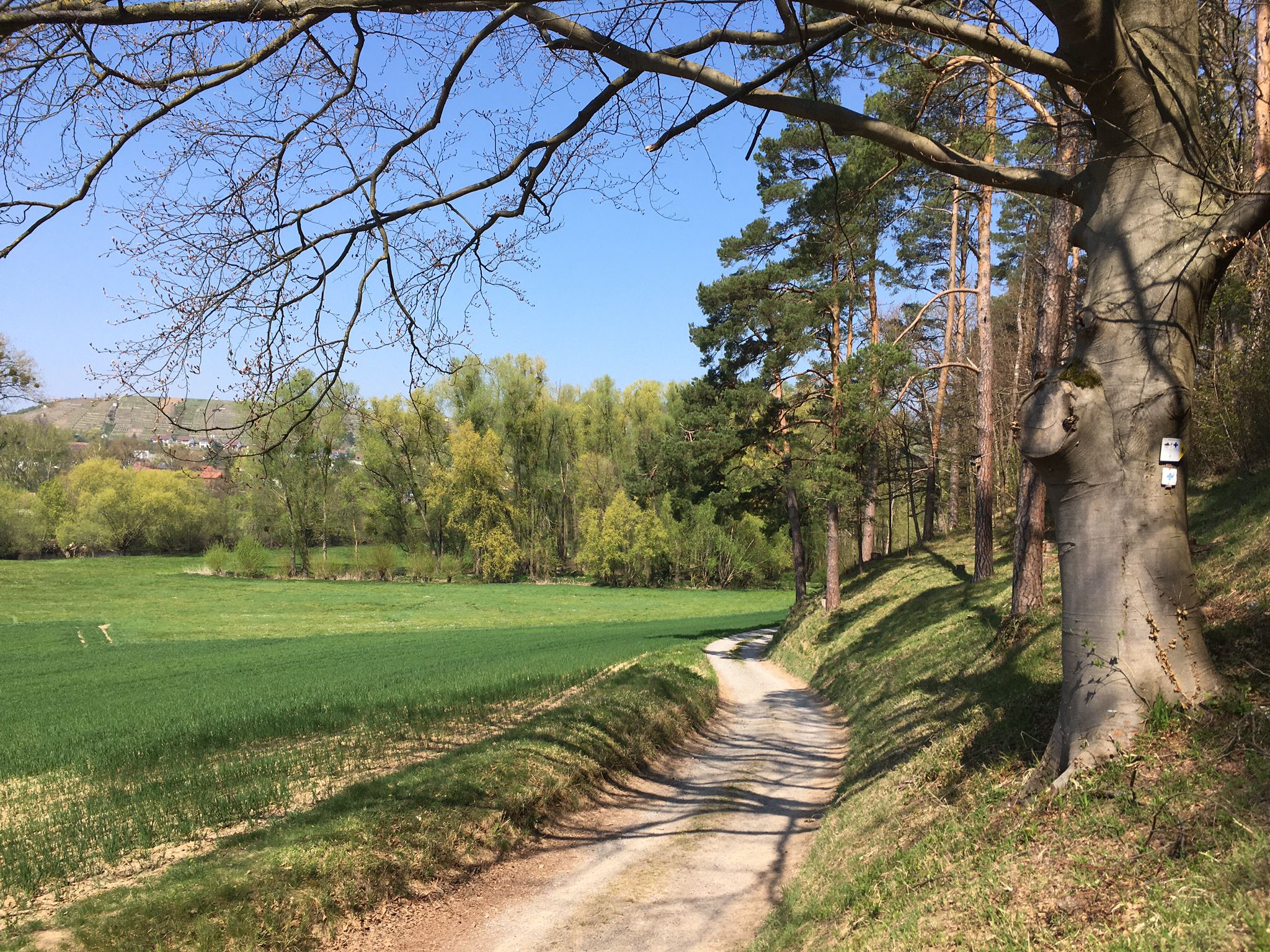 An der Enz bei Roßwag