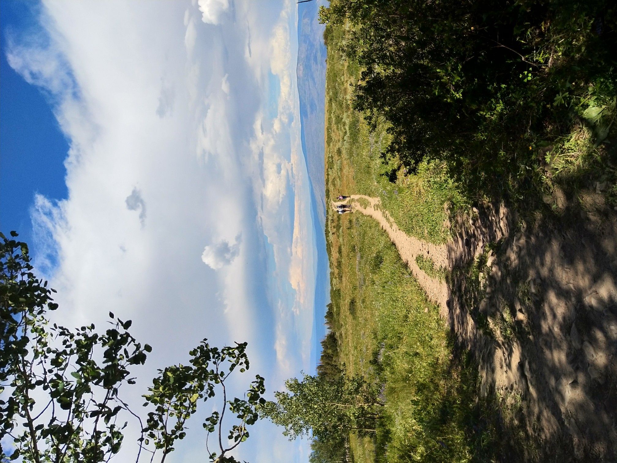 Sunny view of a dirt path winding through grassy hills under a cloudy sky. - Thomas Lakes Trail