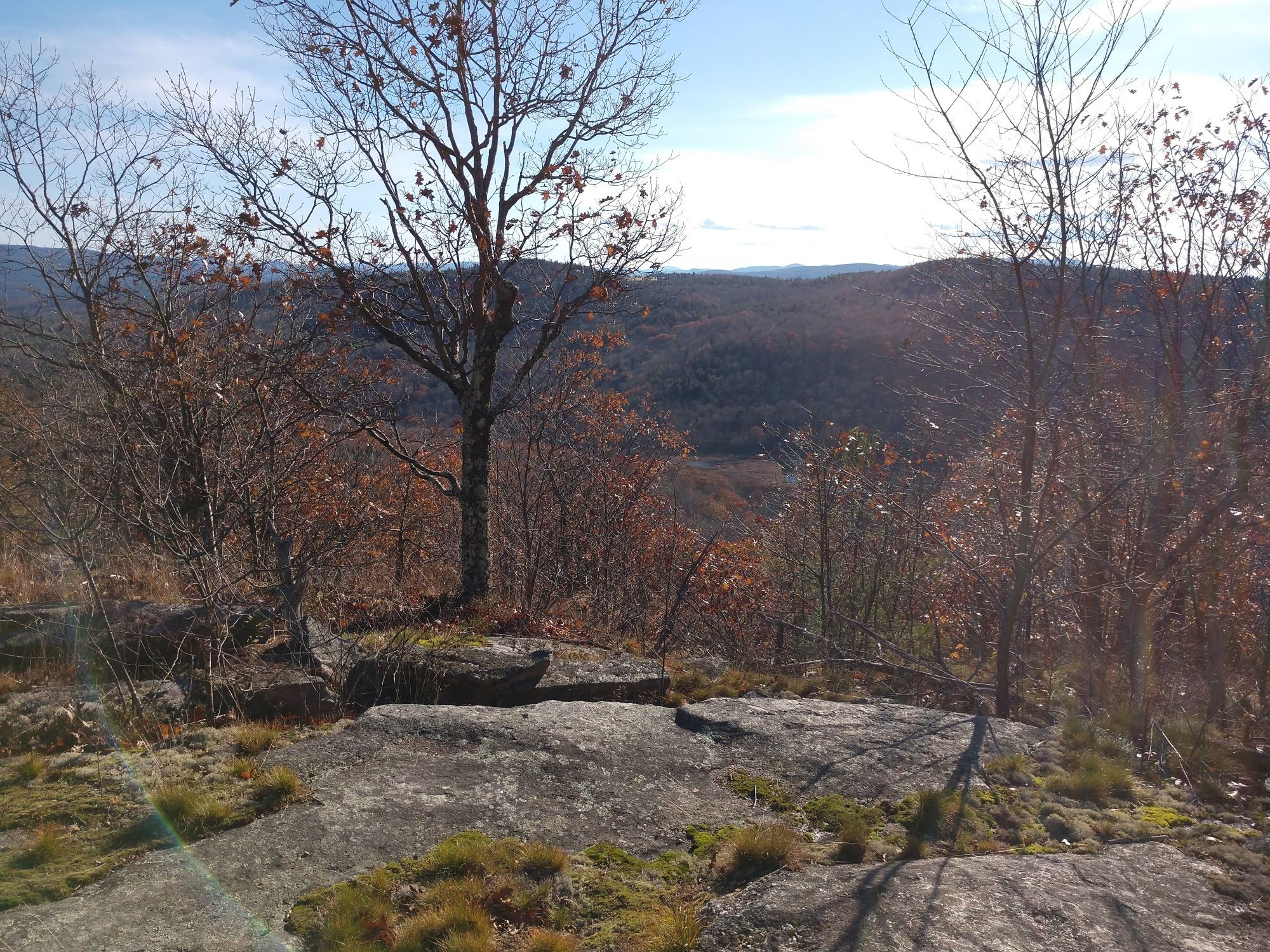 Rocky overlook with bare trees and a distant forested valley on a sunny day. - Bog Mountain