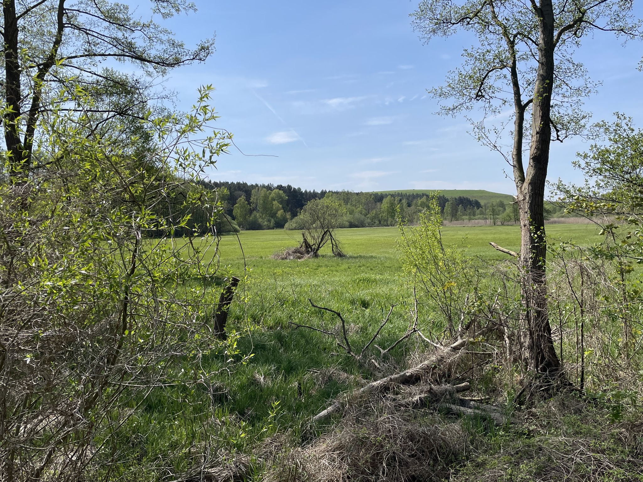Vorne Romantik im Hintergrund die begrünte ehem. Hausmülldeponie Wernsdorf.
