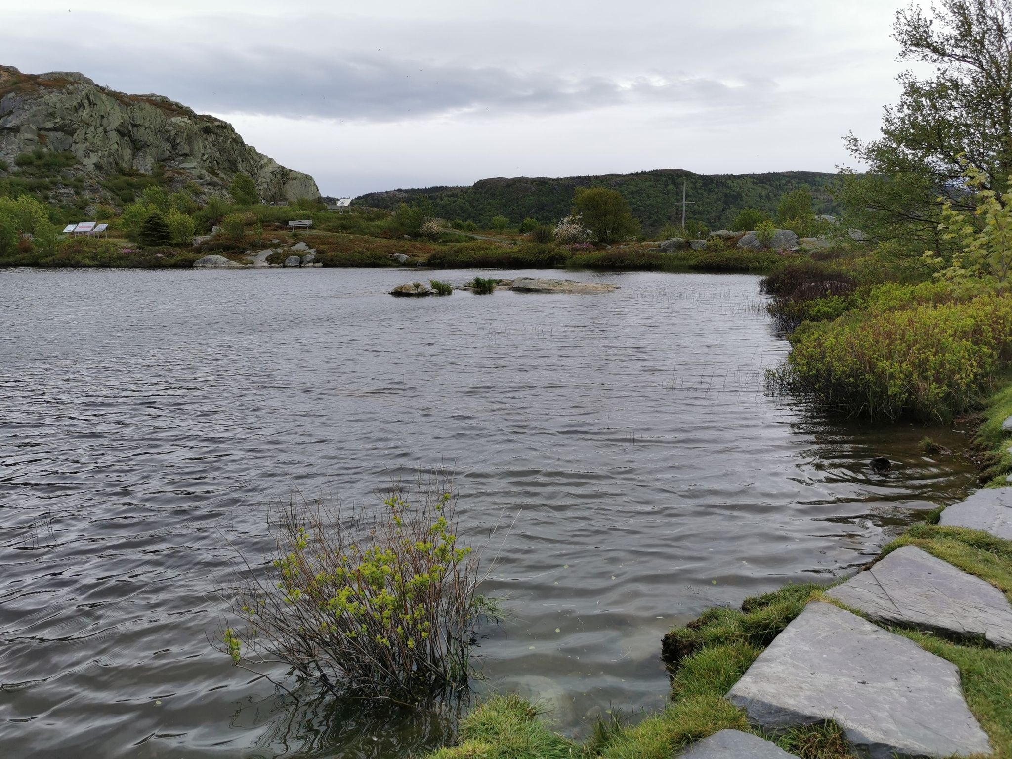 Deadman's Pond