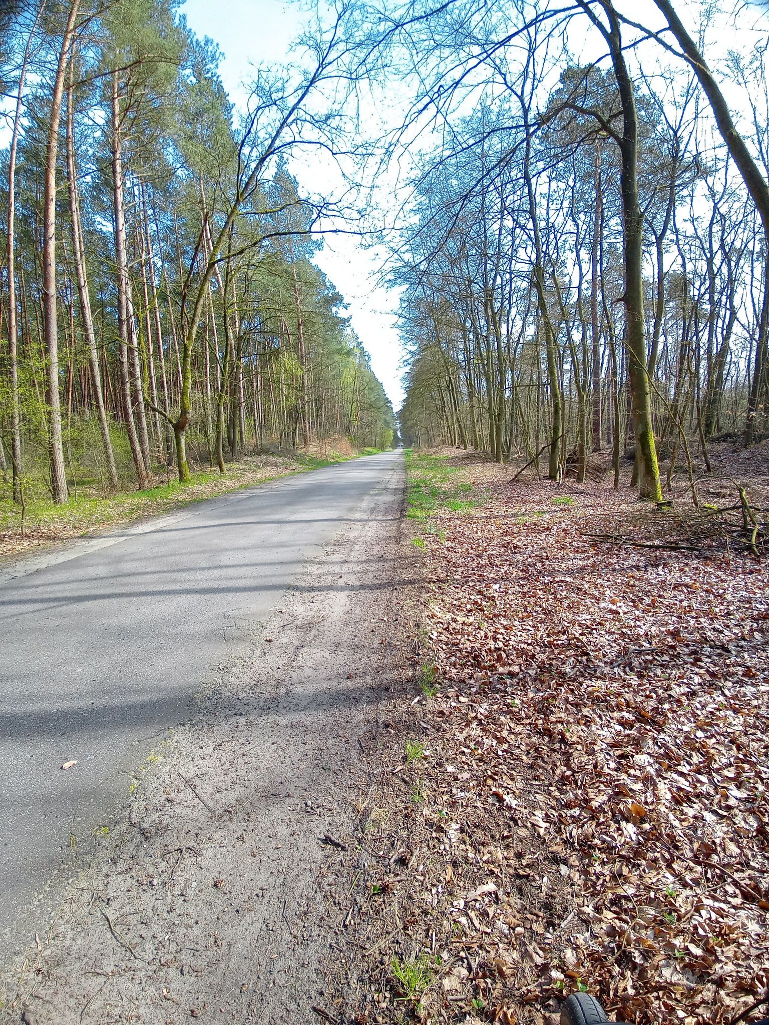 8 nach Blücher