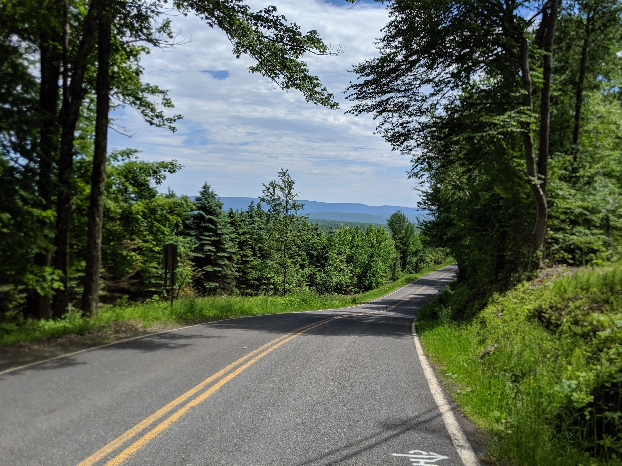 Paved road winding through a dense green forest on a bright day. - Peekamoose Lake – Peekamoose Blue Hole loop from Accord