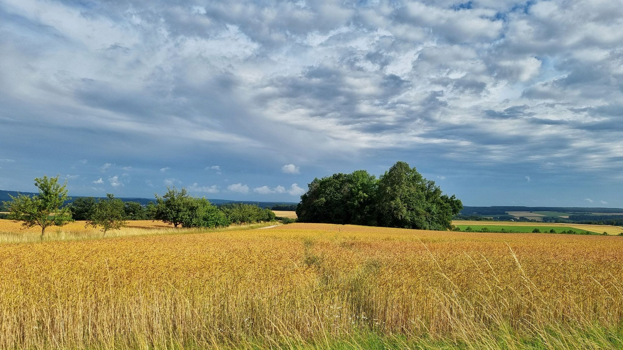 Mit Wind und Sonne im Rücken nach Birkach
