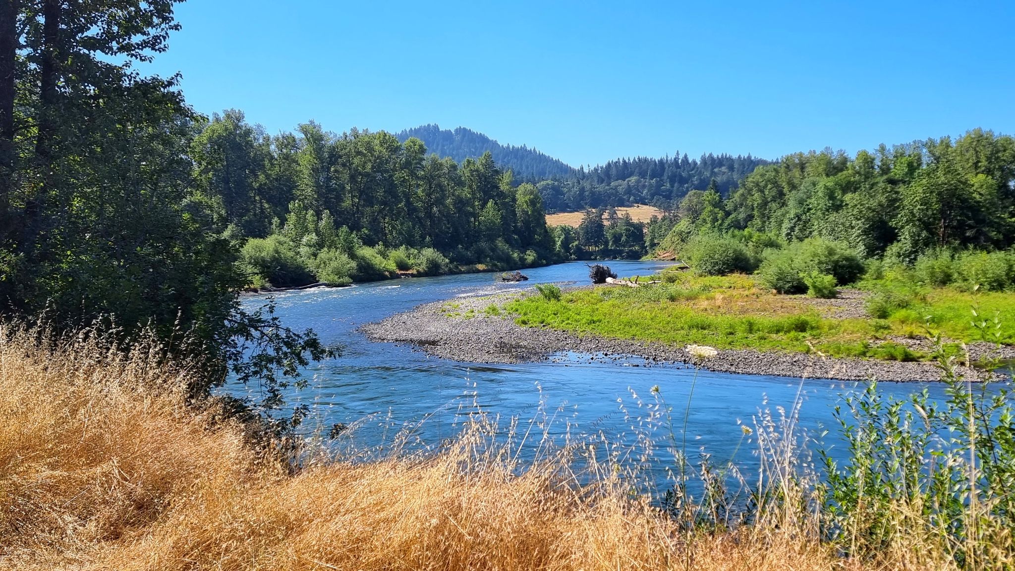 River winding through green and golden banks under a clear blue sky. - Middle Fork Path