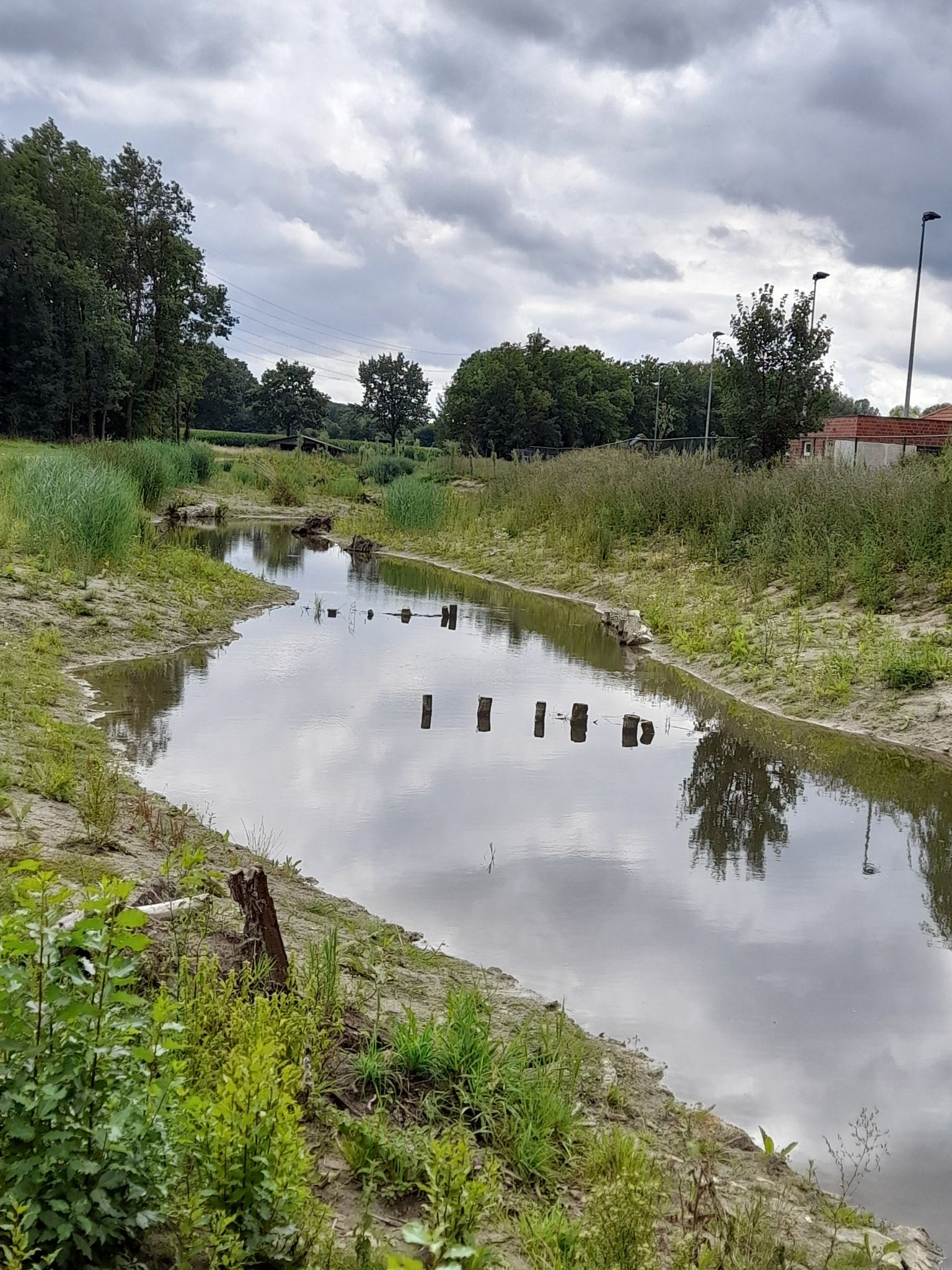 Vechte Renaturierung