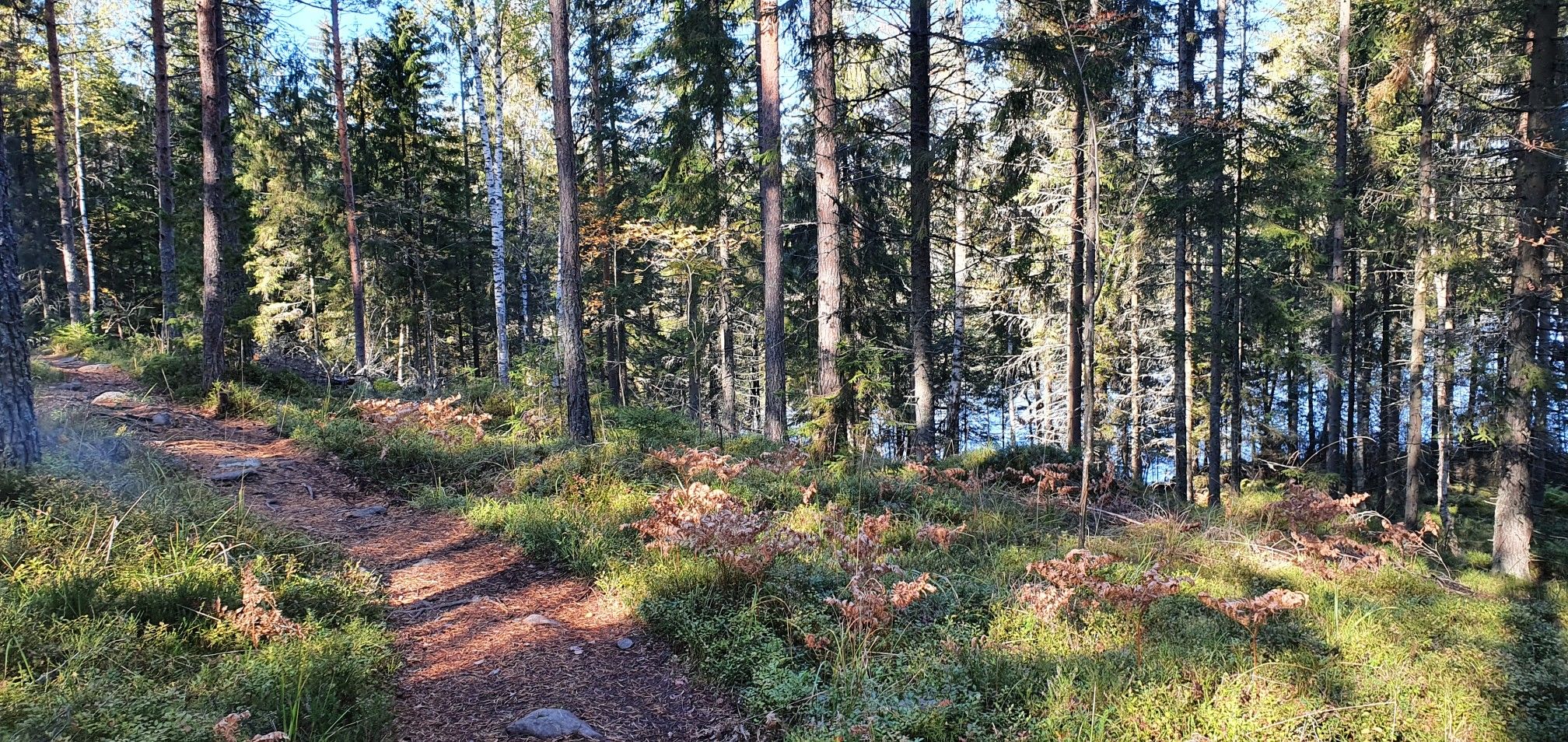 Small lake