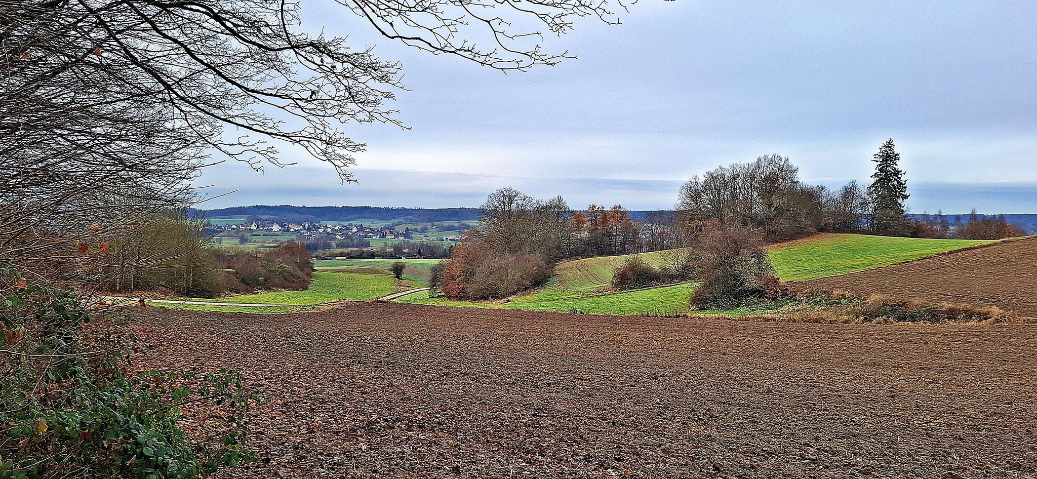 Blick nach Schlipsheim