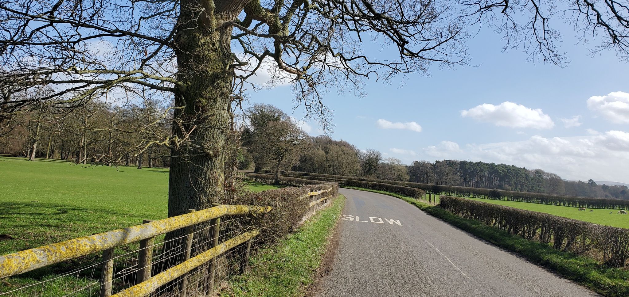 lovely winding country lanes