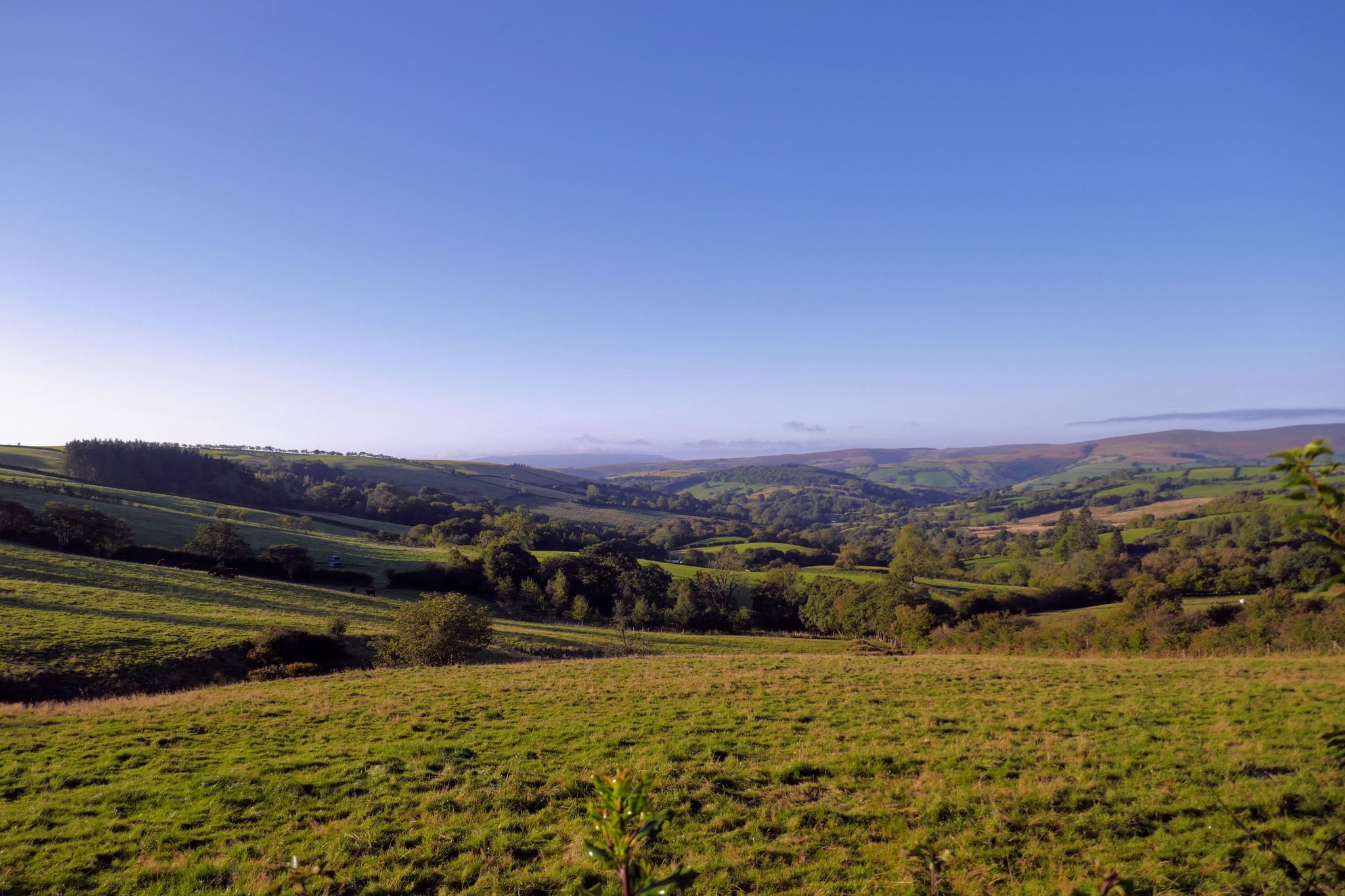 Morning view looking over one of the Welsh valleys