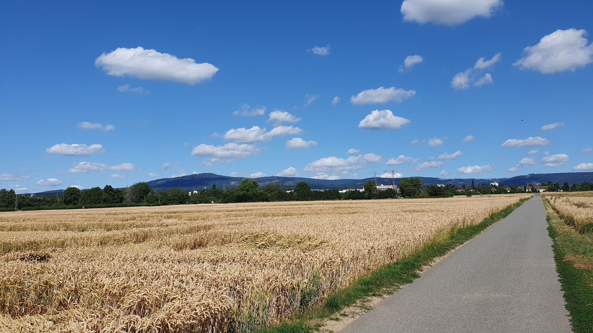 Das Ziel: Großer Feldberg