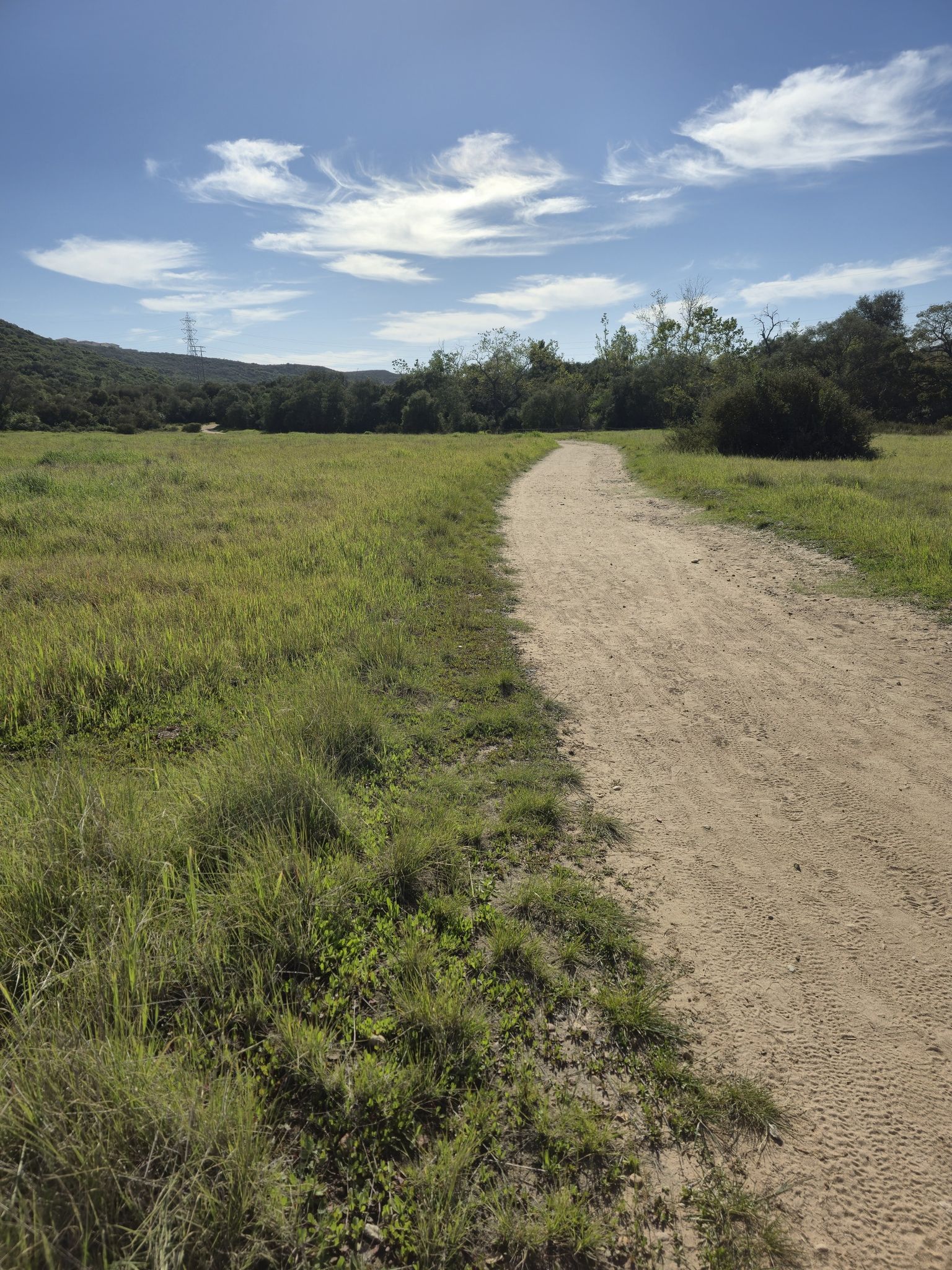 A dirt path winds through a sunny, green grassy field under a blue sky. - Del Mar Mesa – Peñasquitos Creek Crossing loop from Carmel Mountain Preserve