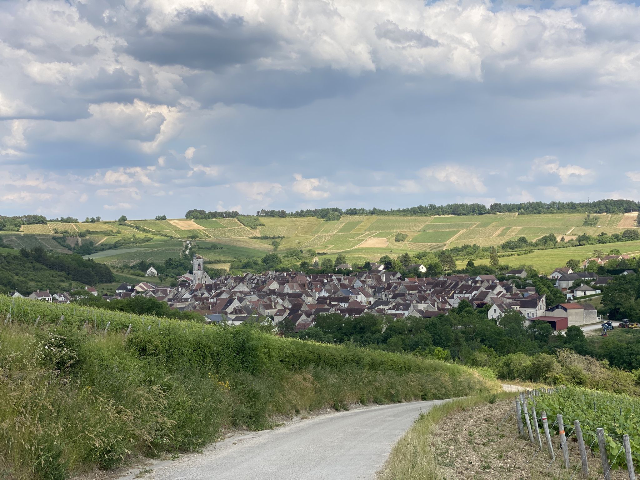 Vue sur Irancy