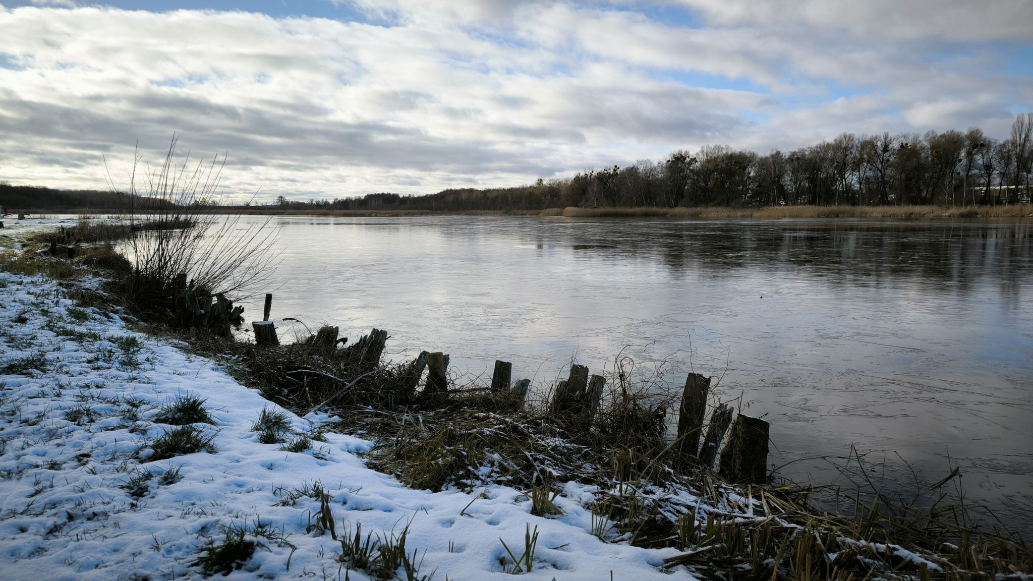 Mühlenteich Friedland