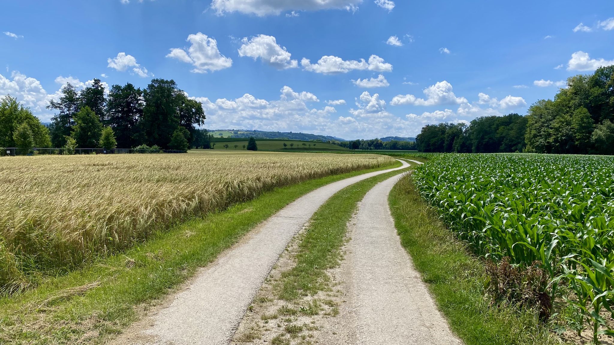 flacher Traktorweg