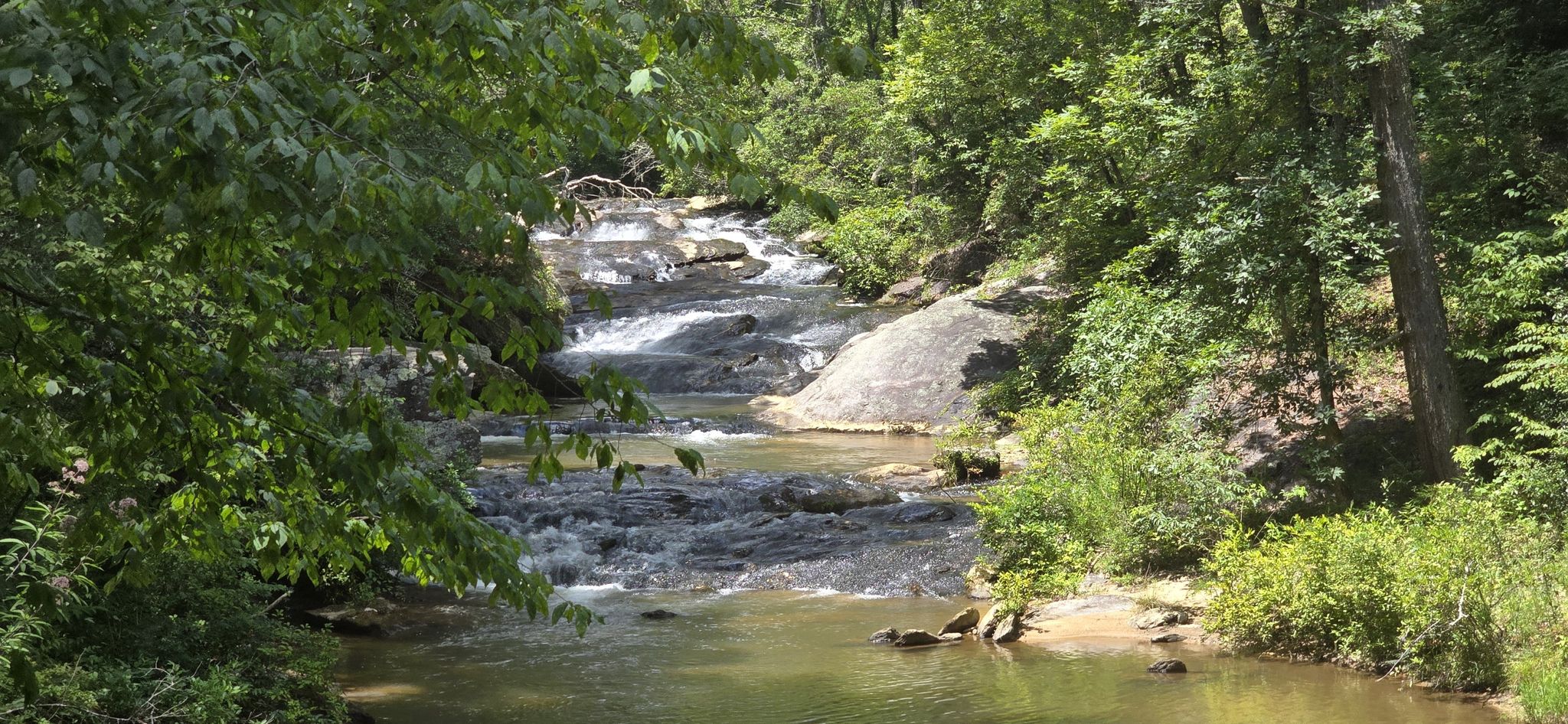 Sunny view of a rocky river flowing through a lush green forest. - Panther Creek Trail