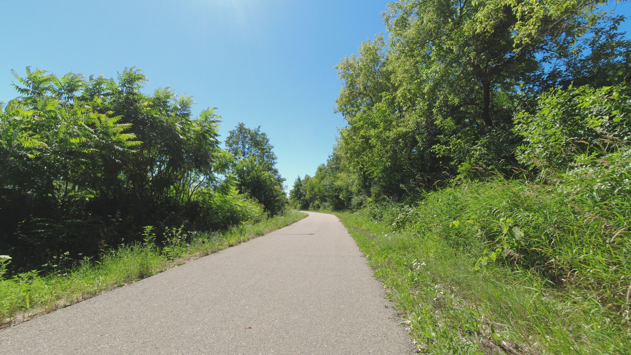 A paved path through lush green trees and grass on a bright sunny day. - Sauk County loop
