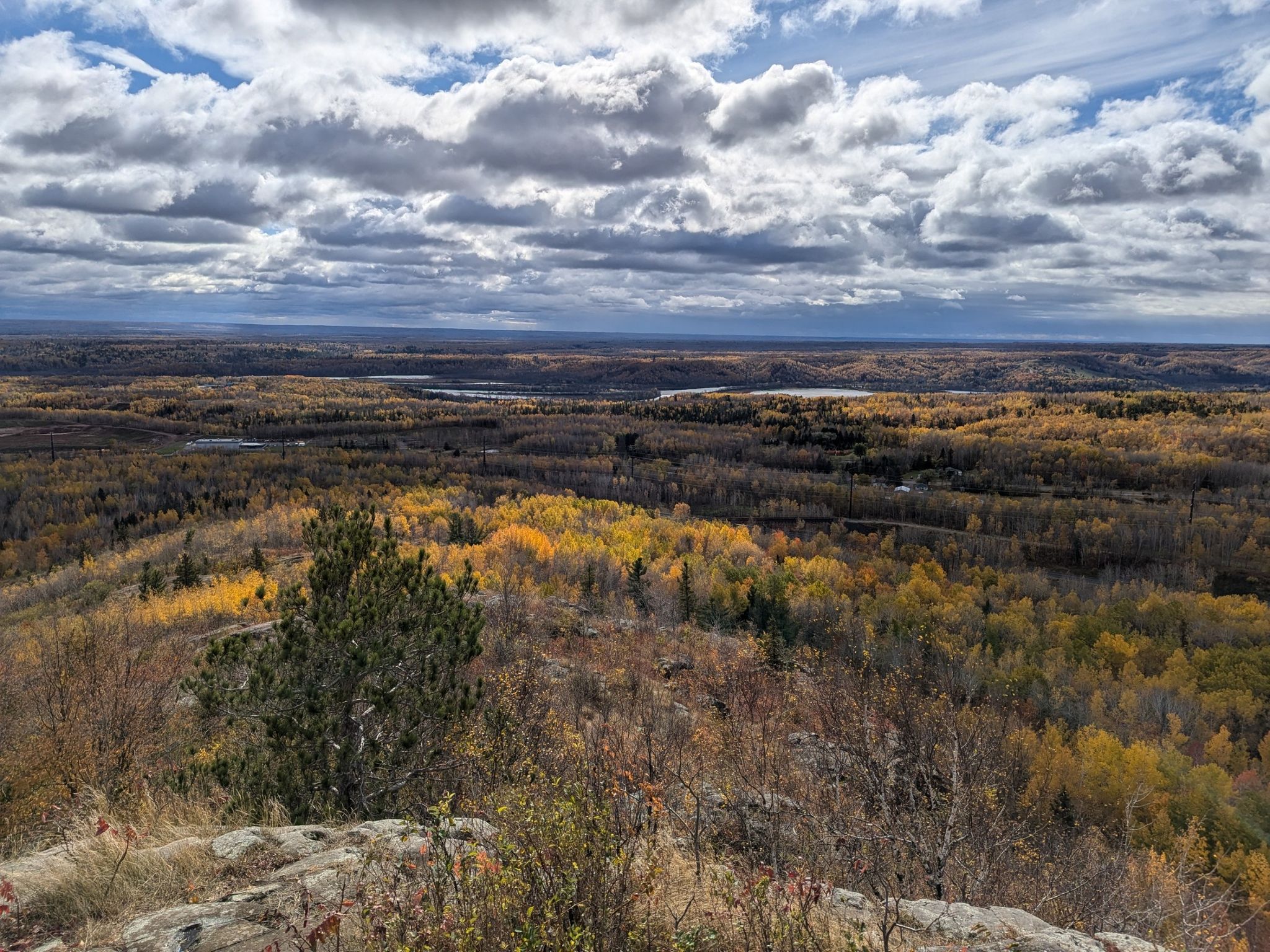 Panoramic view of a vast autumn forest with colorful trees under a cloudy sky. - Elys Peak via Superior Hiking Trail