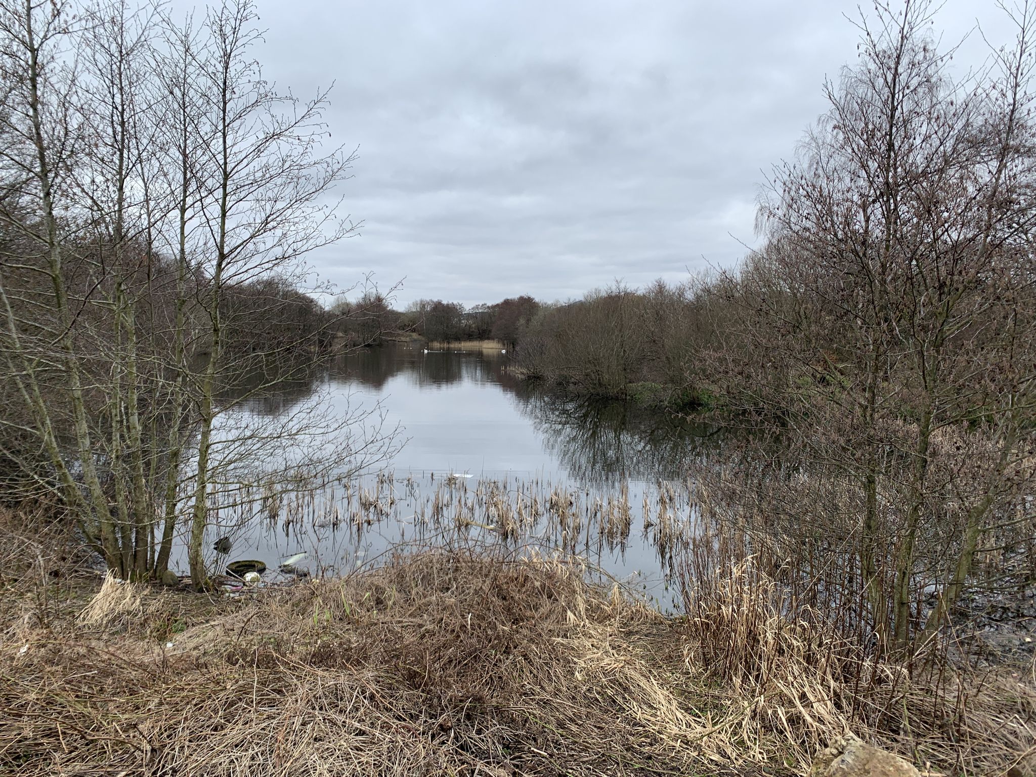 Straiton pond