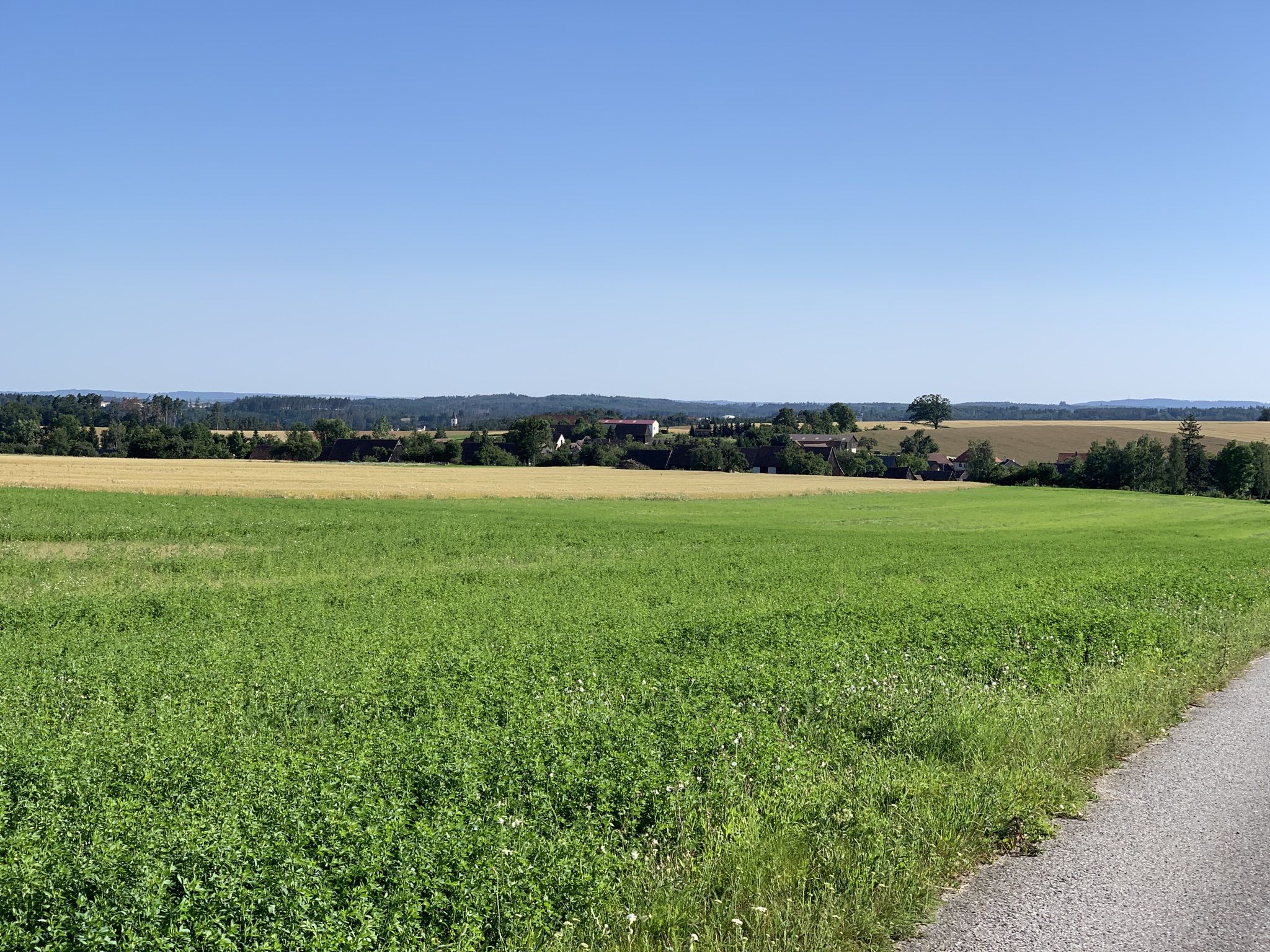 Elsern, im Hintergrund Drosendorf 