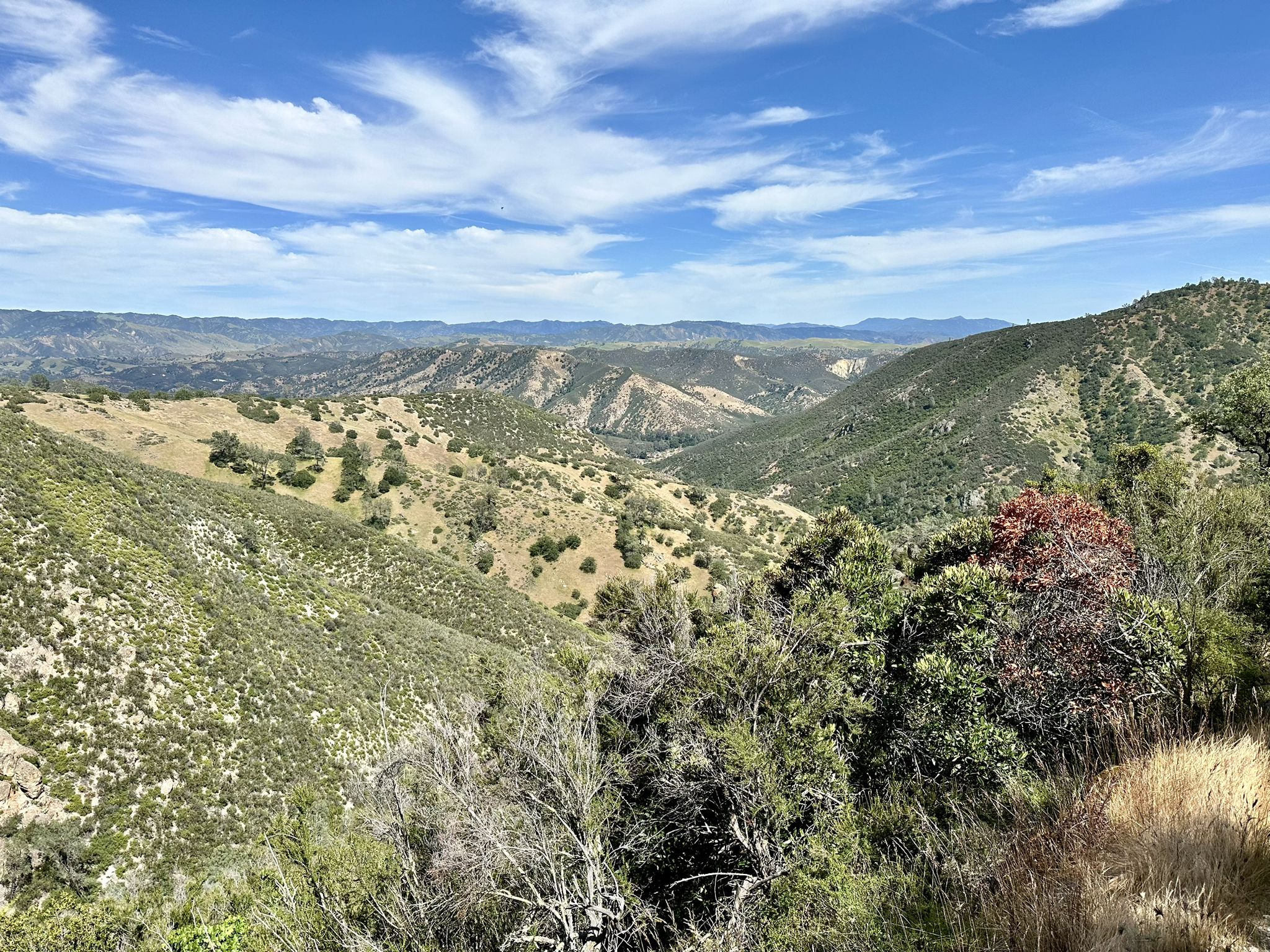 Expansive view of rolling green and golden hills under a bright blue sky. - Condor Gulch to High Peaks Loop