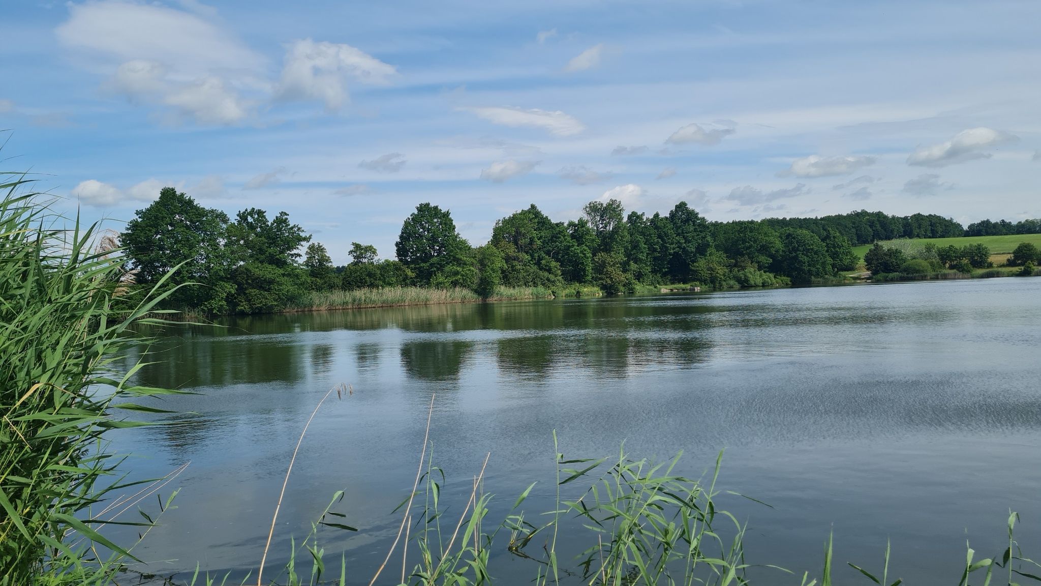Langer Teich