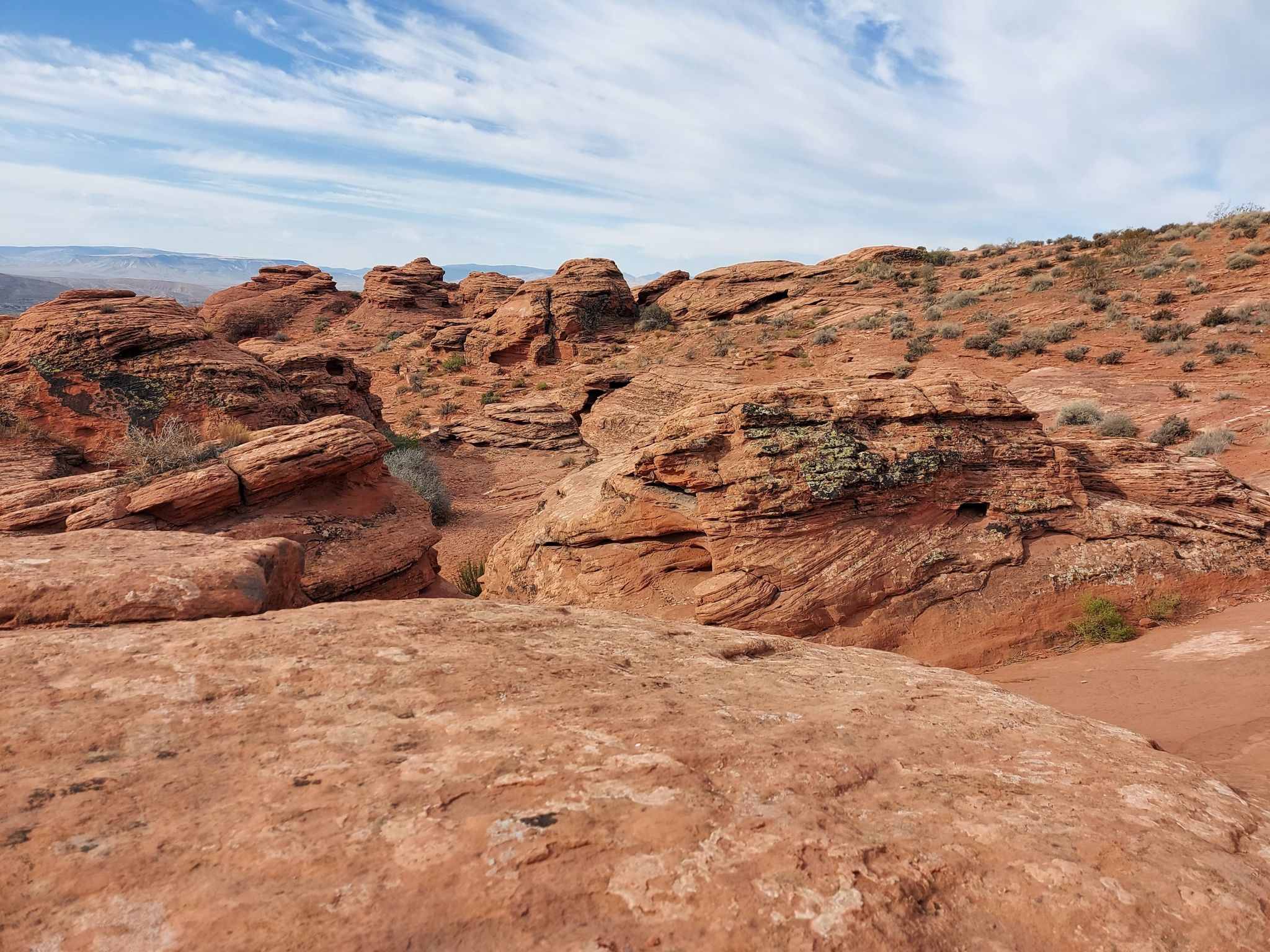 Red rock formations and desert brush under a partly cloudy sky. - Red Hills and Pioneer Rim Loop