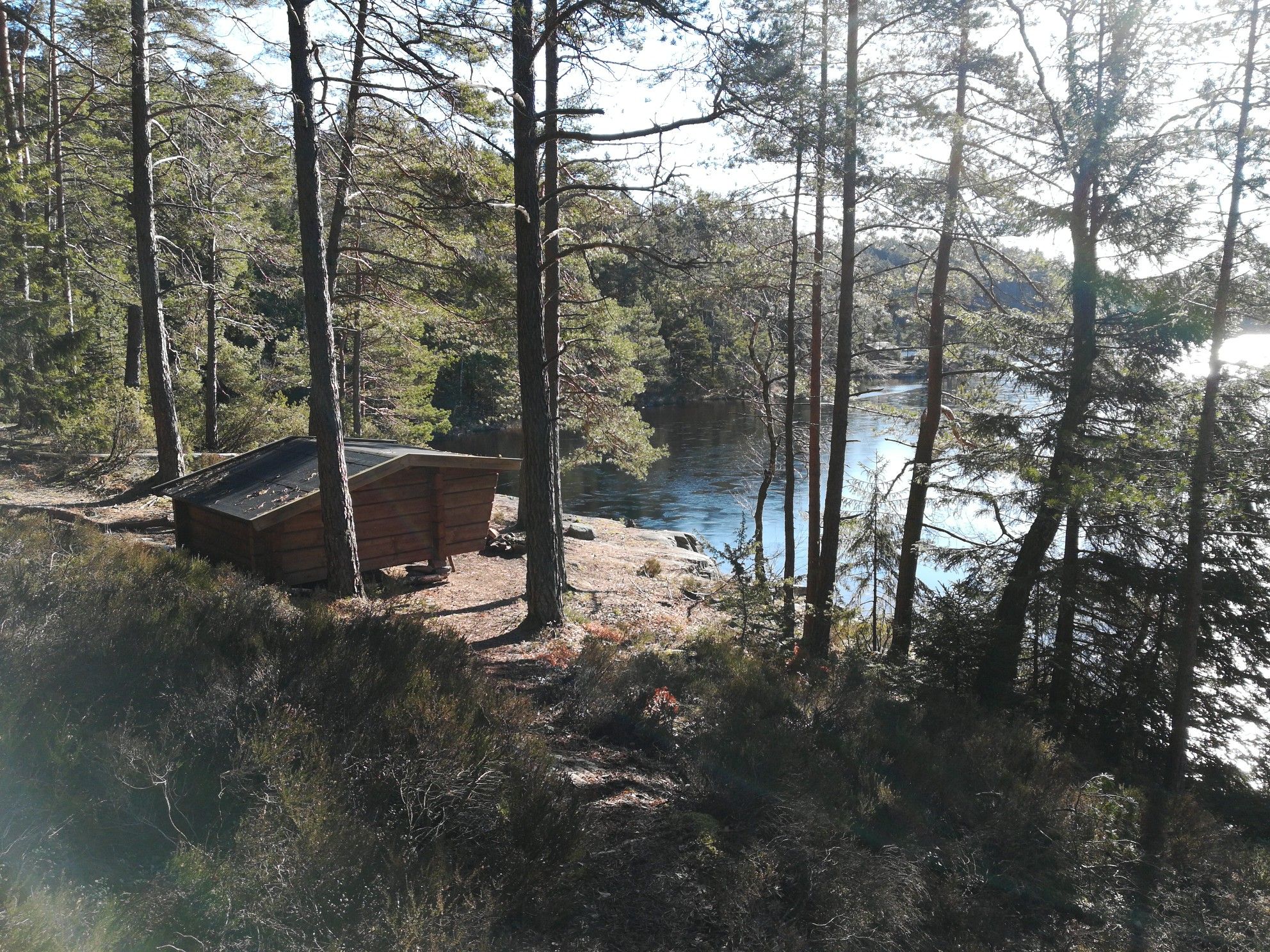 Shelter