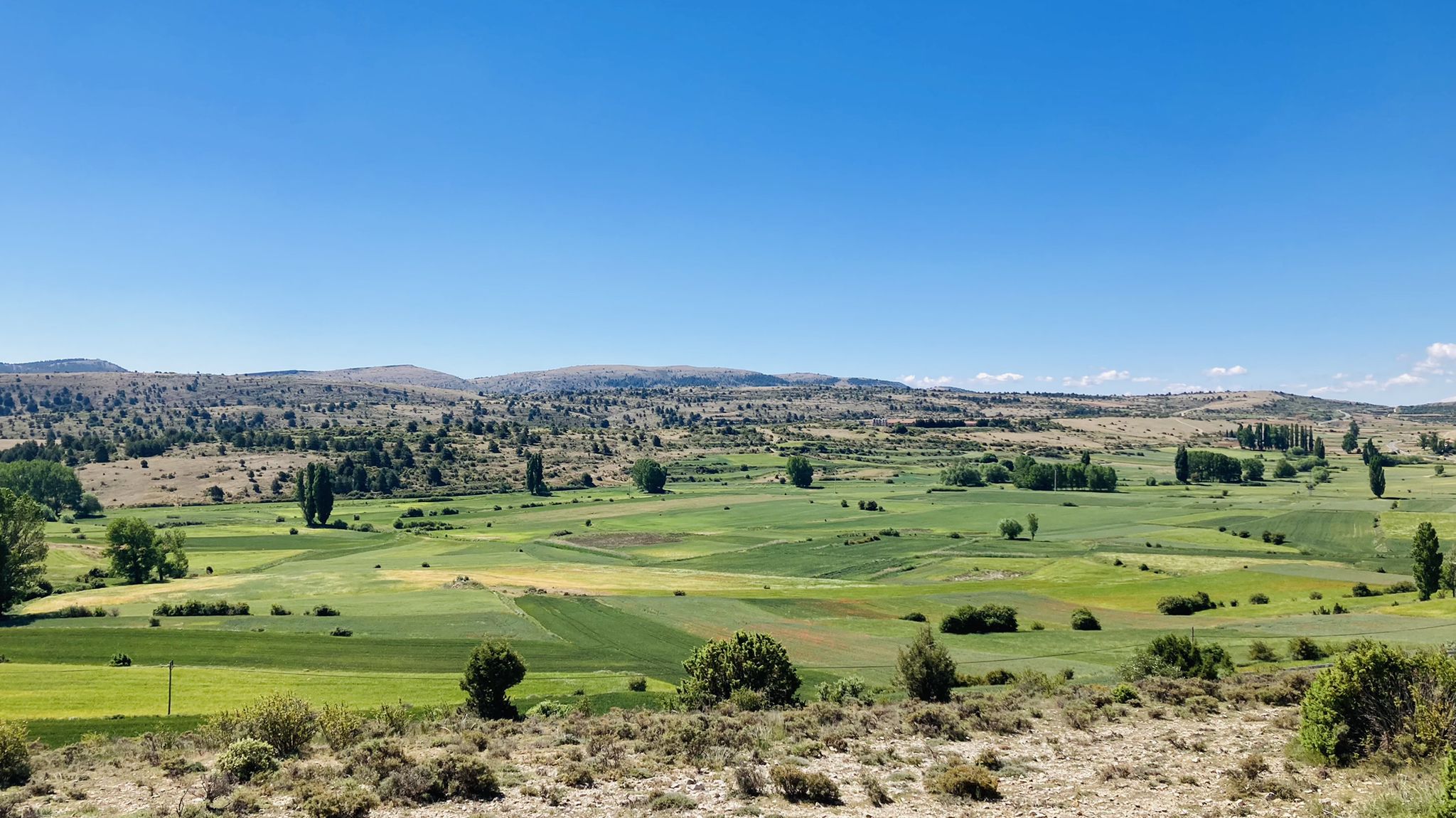 Corrales de Mierla