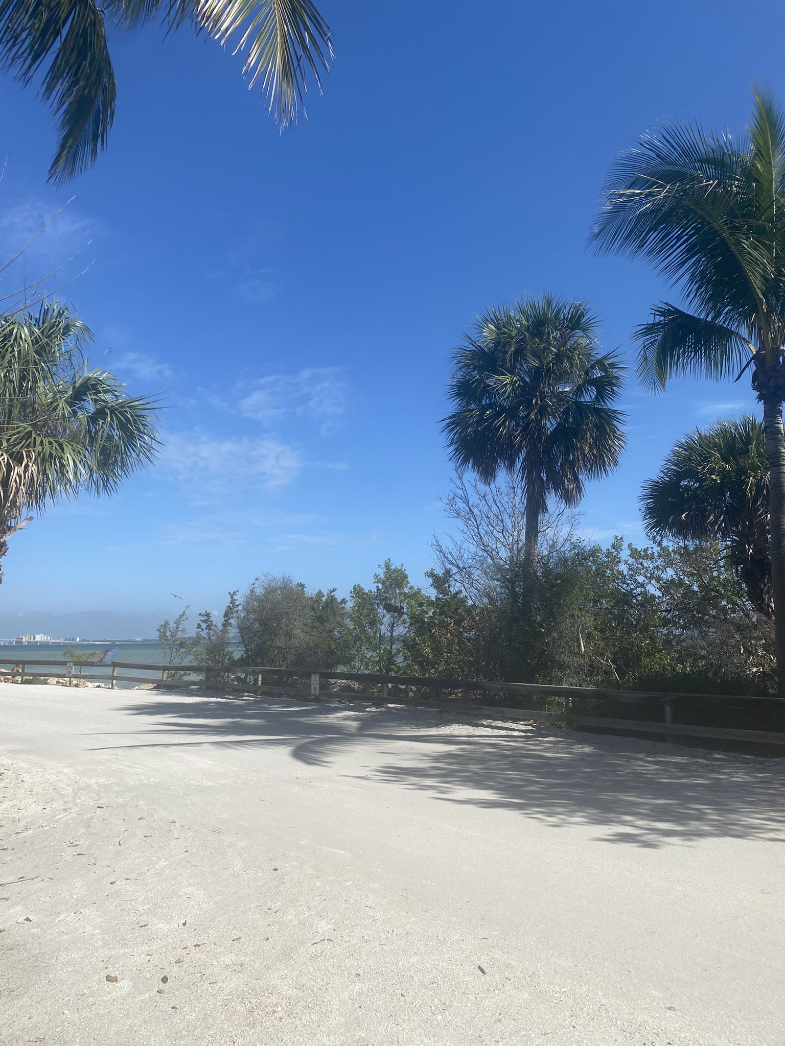 A wide sandy area with palm trees under a bright blue sky. - Gulfside City Park – Sanibel Island Northern Beach loop from Billy's Bikes