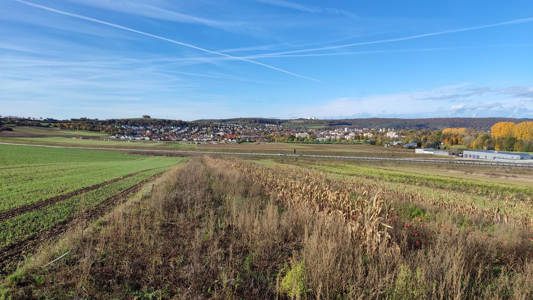 Bad Mergentheim in der Sonne ☀️