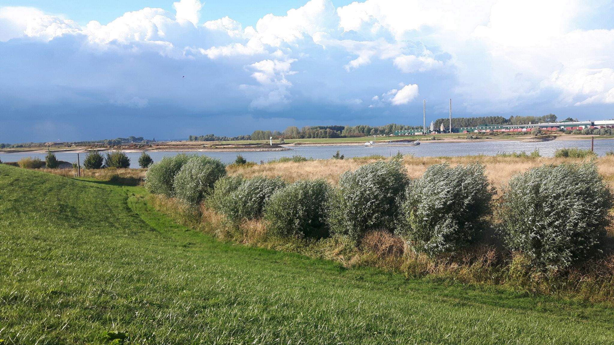 Bifurkation Rhin- Waal bei Millingen a. d. Rhin